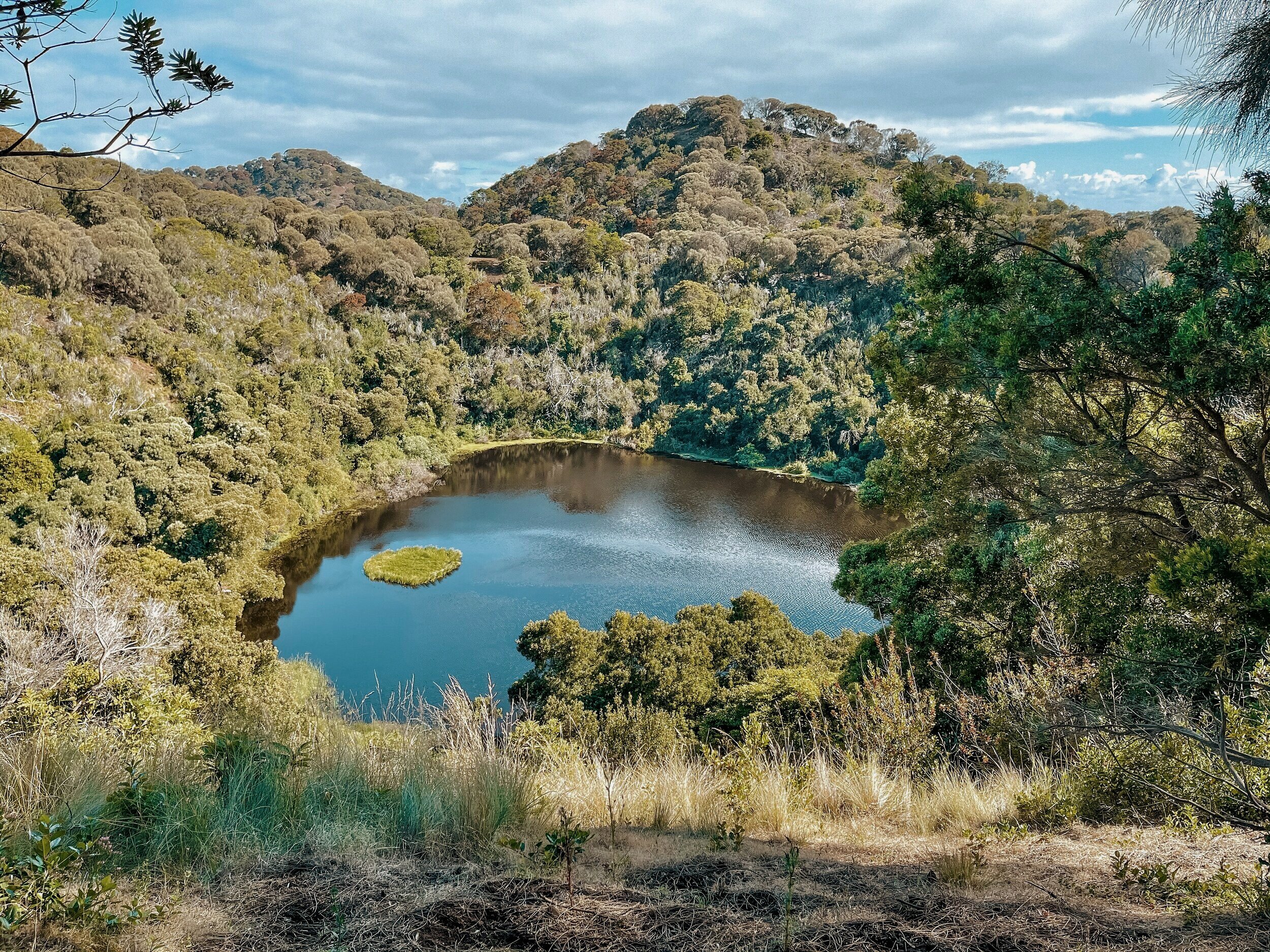 Small lake - Tower Hill Reserve - Victoria - Australia