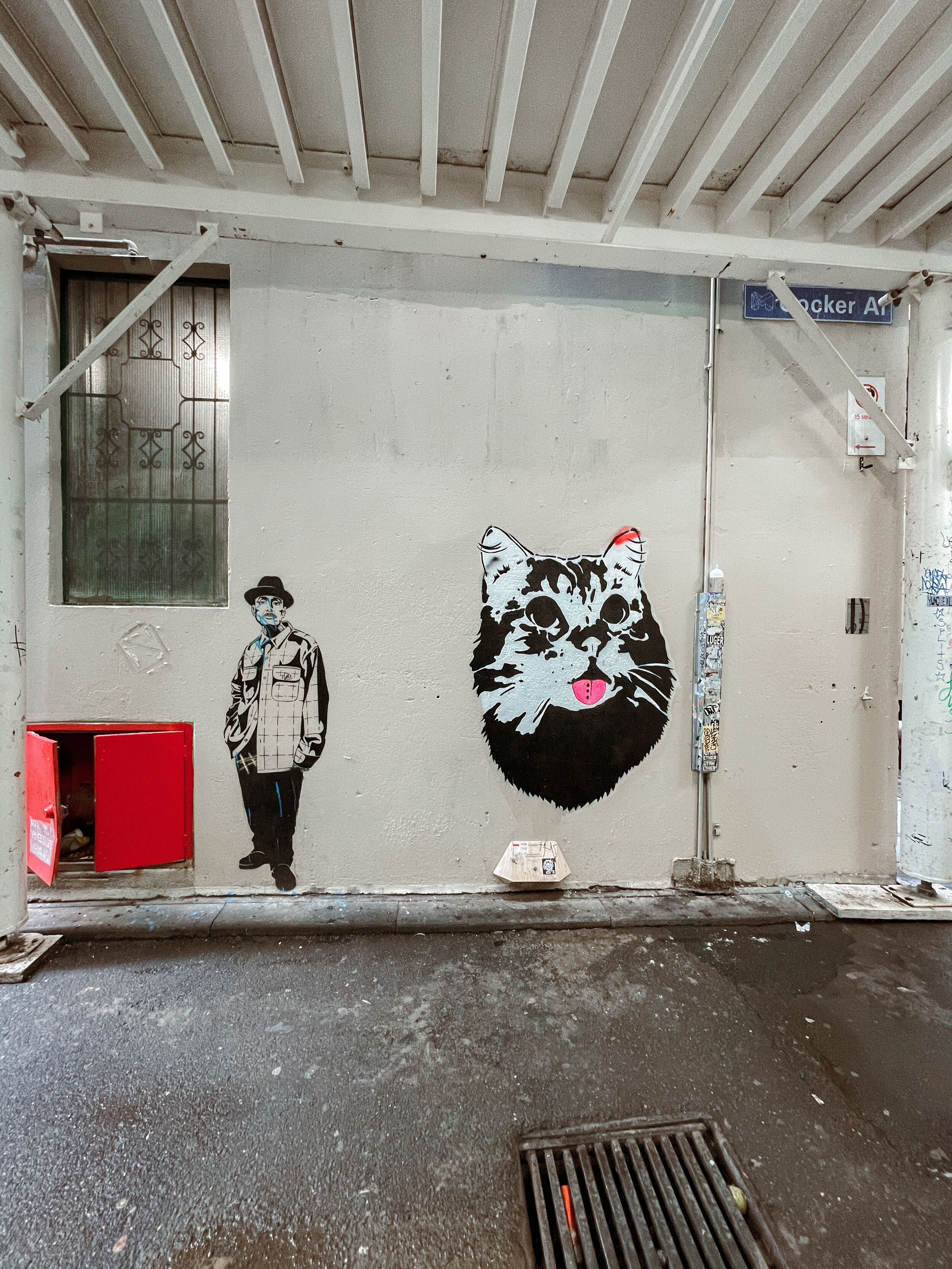 Alleyway graffiti art - Melbourne - Victoria - Australia