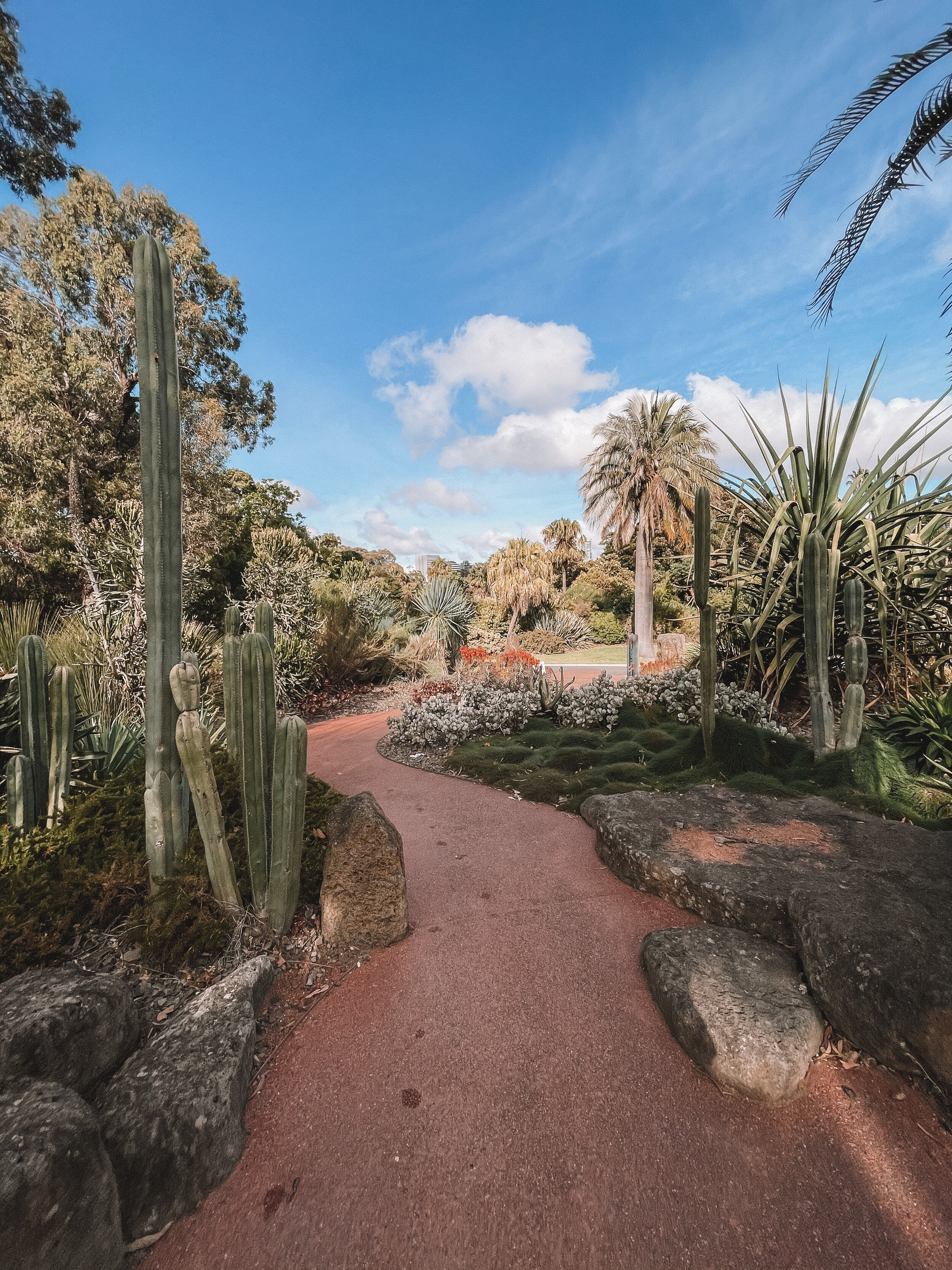 Cacti Heaven - Royal Botanic Garden - Melbourne - Victoria - Australia