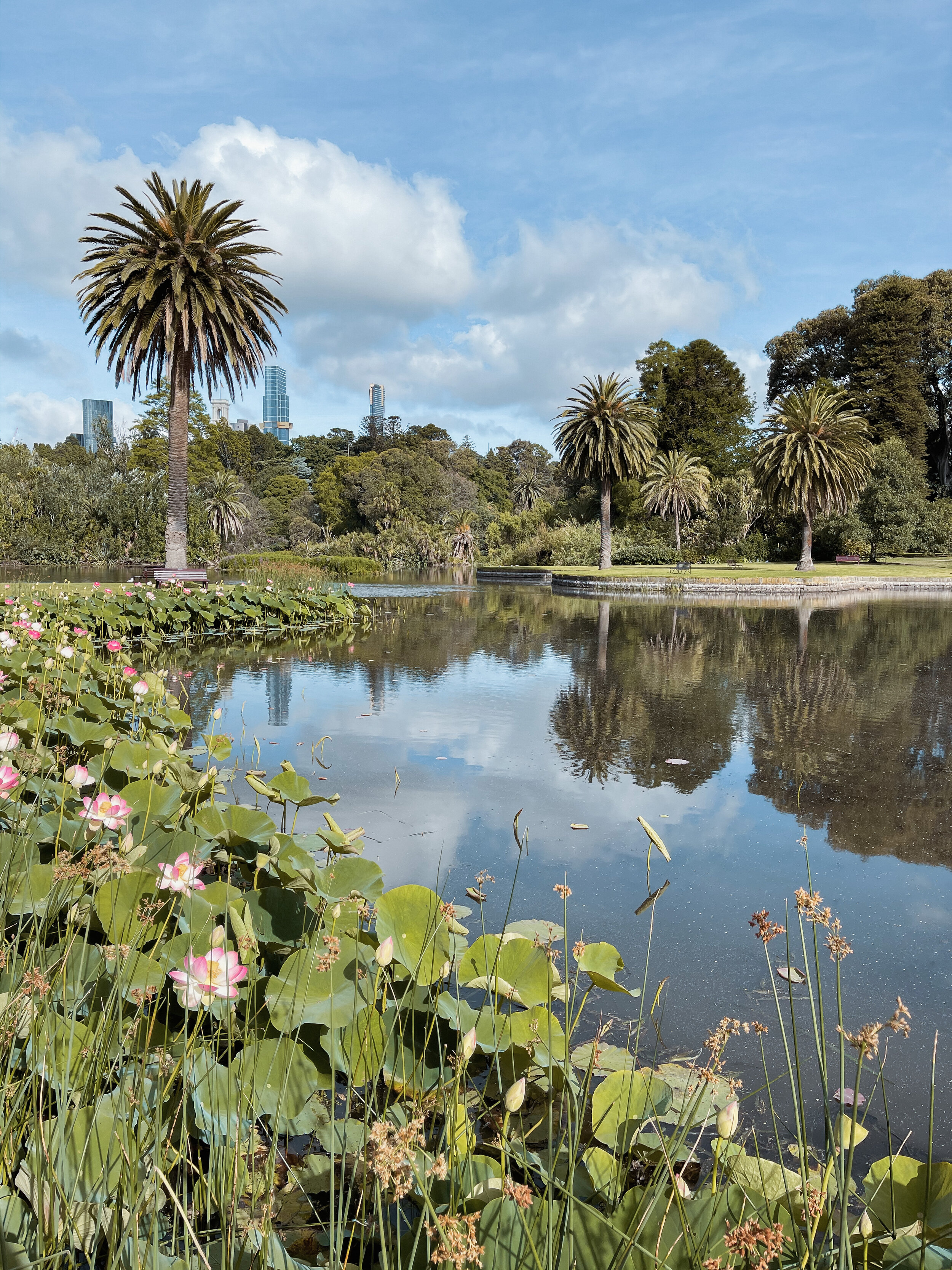 Waterhole - Royal Botanic Garden - Melbourne - Victoria - Australia