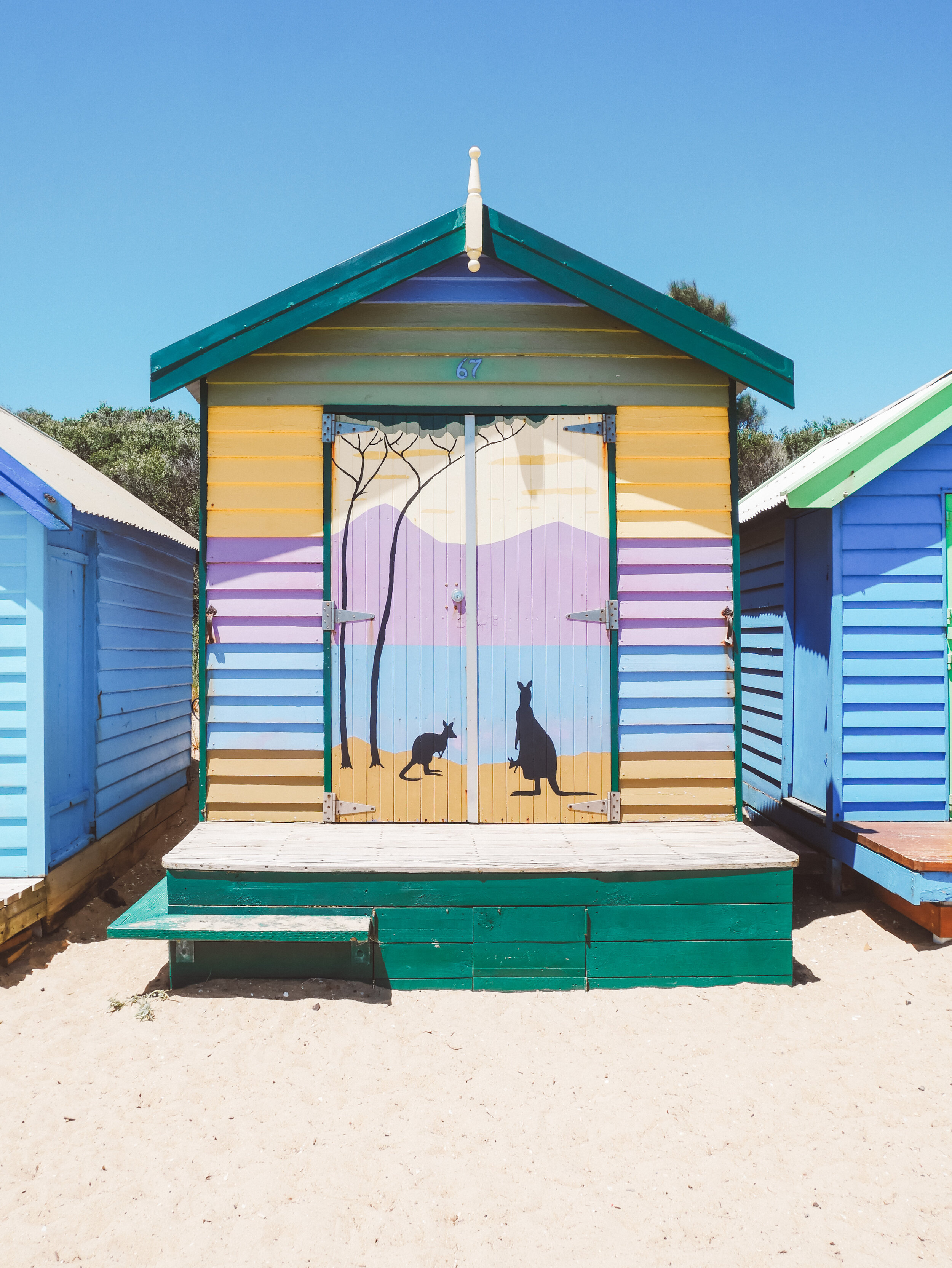 Kangaroo art - Brighton Bathing Boxes - Brighton - Melbourne - Victoria - Australia