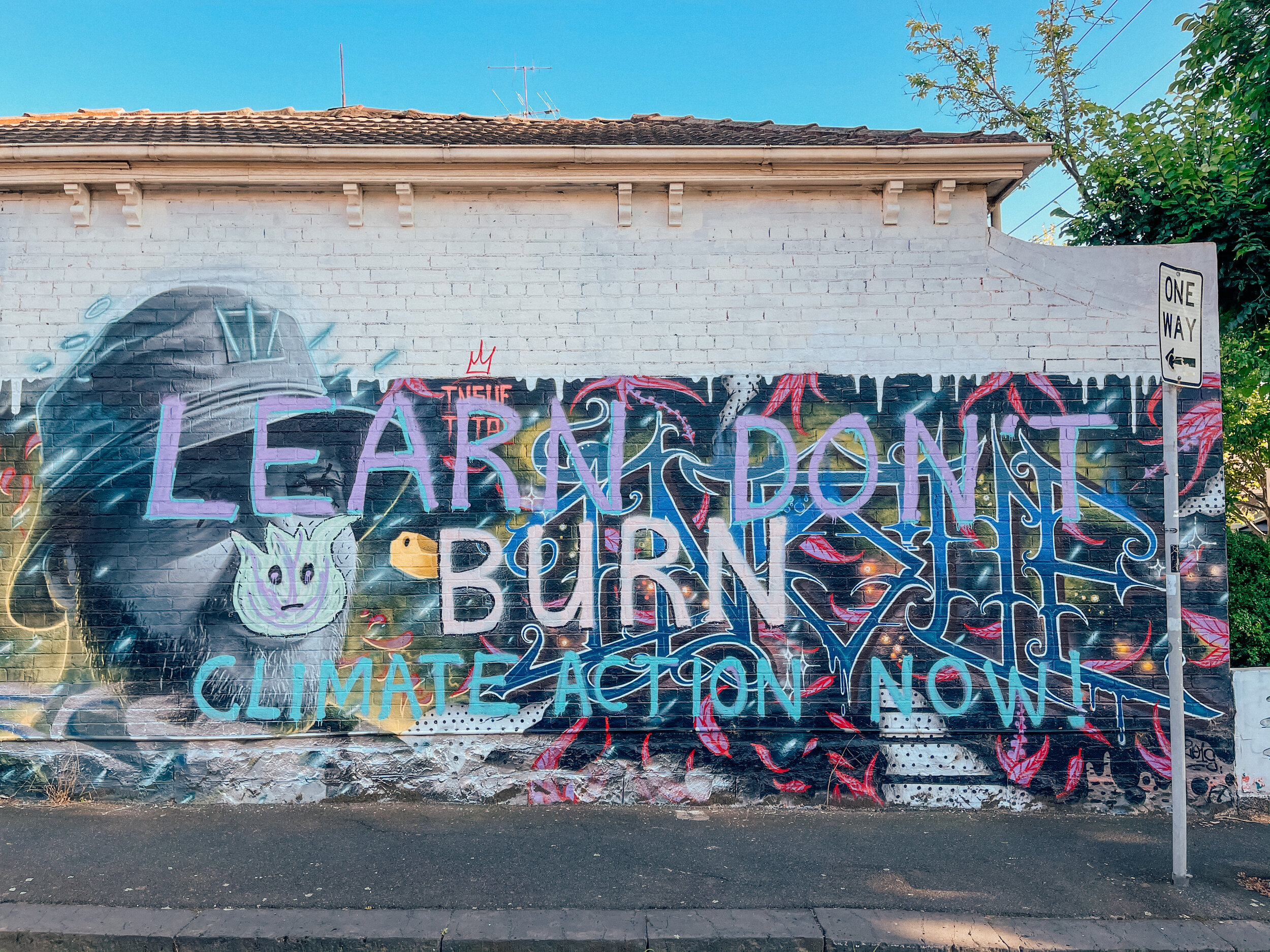 Learn Don't Burn - Fitzroy Street Art - Melbourne - Victoria - Australia