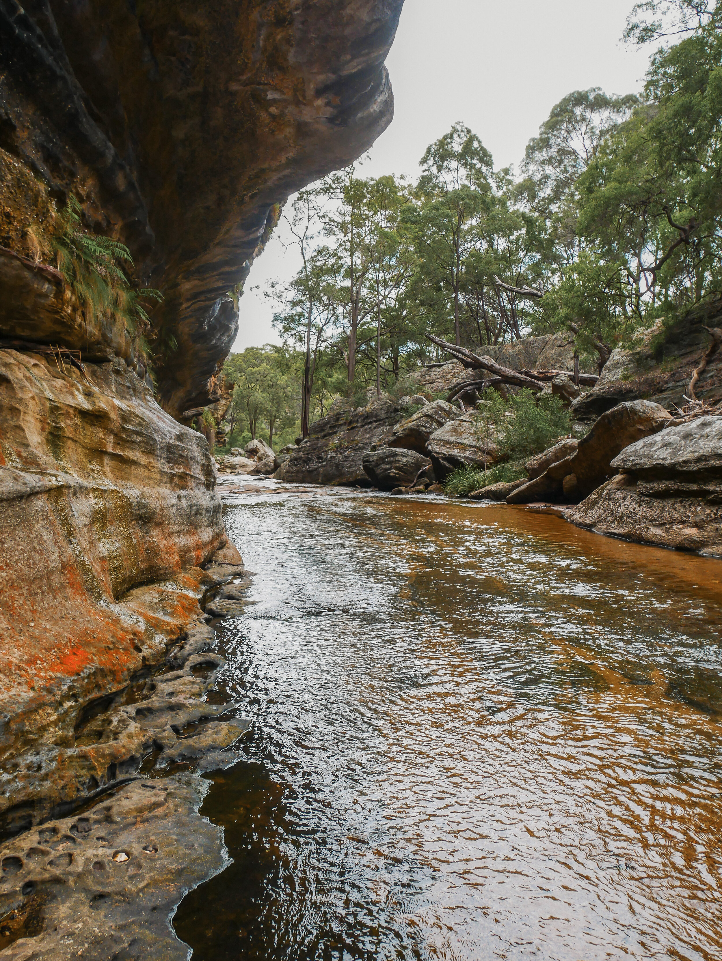 The river was pretty empty - The Drip Gorge - Goulburn River National Park - Mudgee - New South Wales (NSW) - Australia