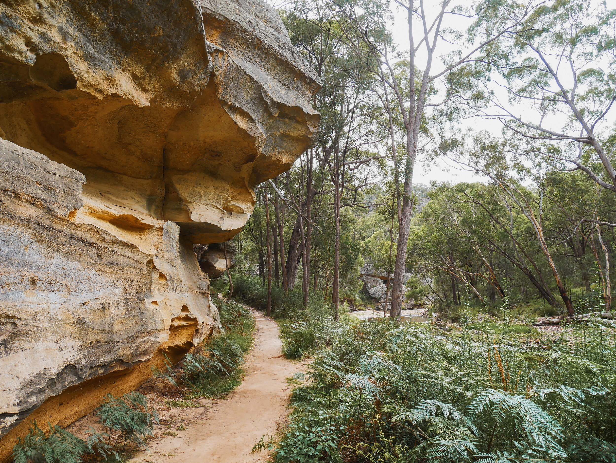 The pathway - Goulburn River National Park - Mudgee - New South Wales (NSW) - Australia