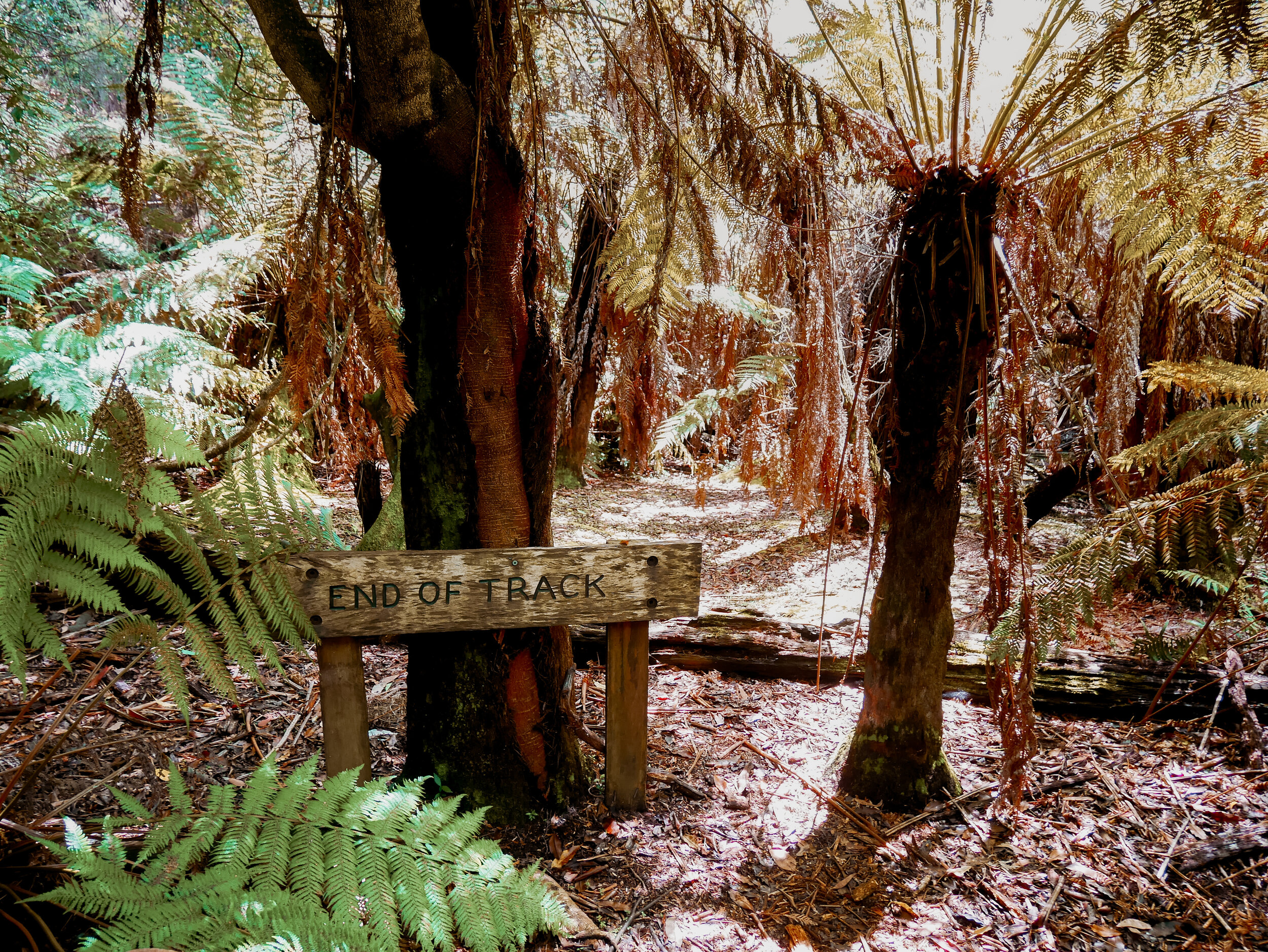 End of Track Sign - Ferntree Gully Reserve - Mudgee - New South Wales (NSW) - Australia