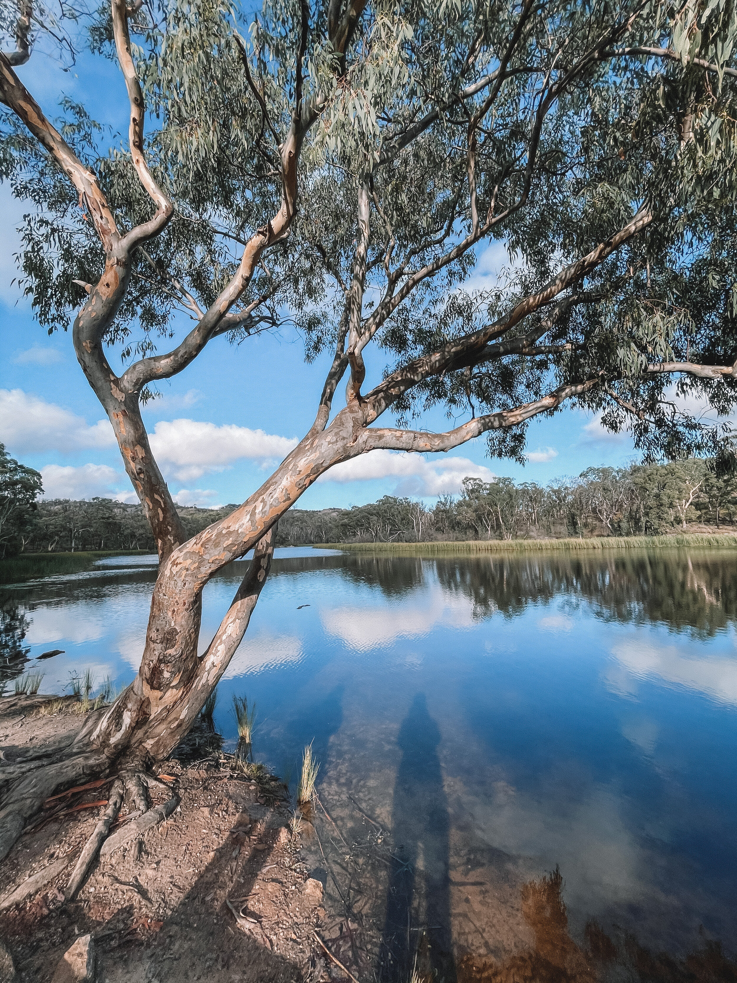 Cudgegong River - Dunns Swamp - Rylstone - New South Wales (NSW) - Australia