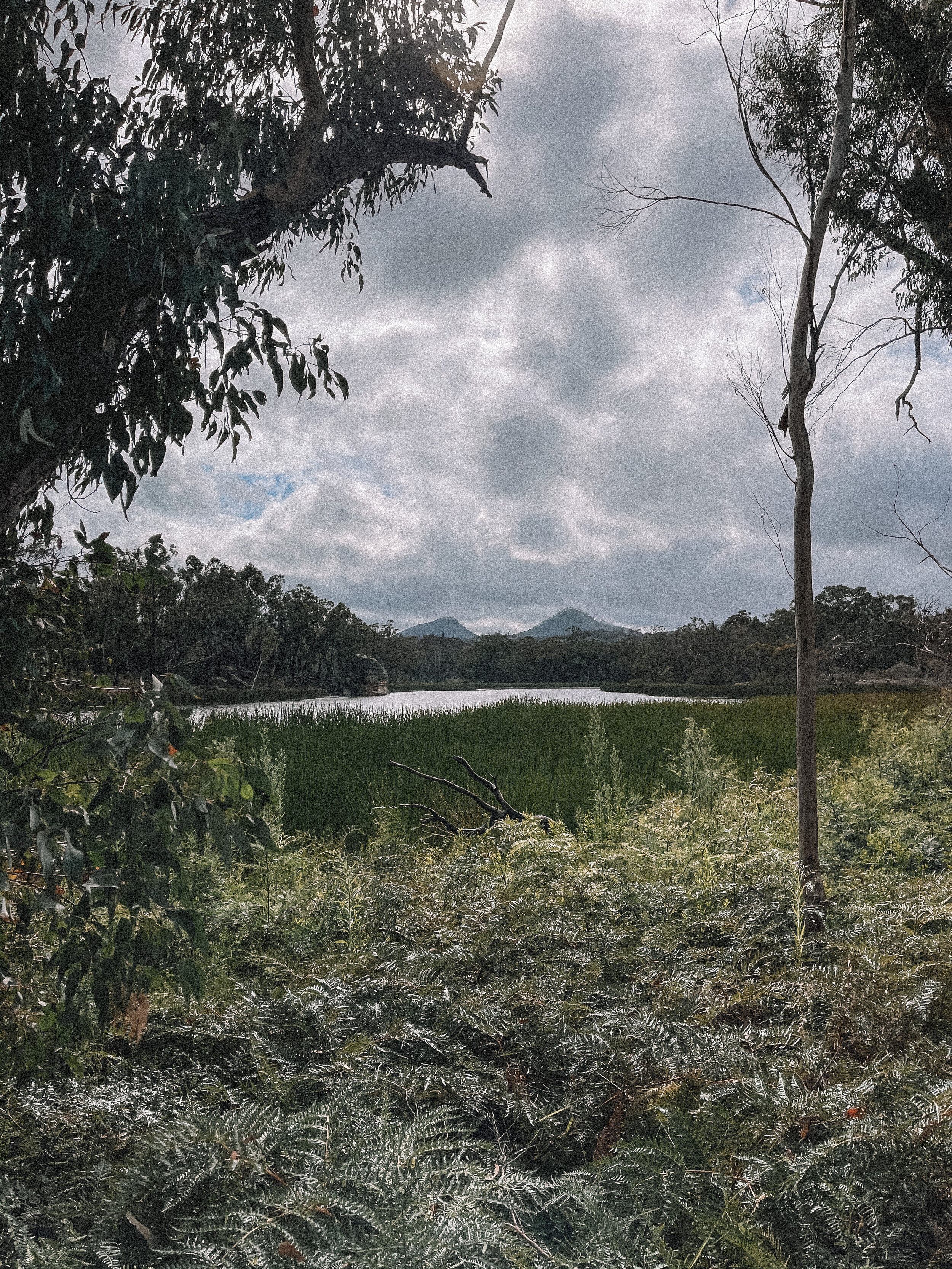 Cloudy Day - Dunns Swamp - Rylstone - New South Wales (NSW) - Australia
