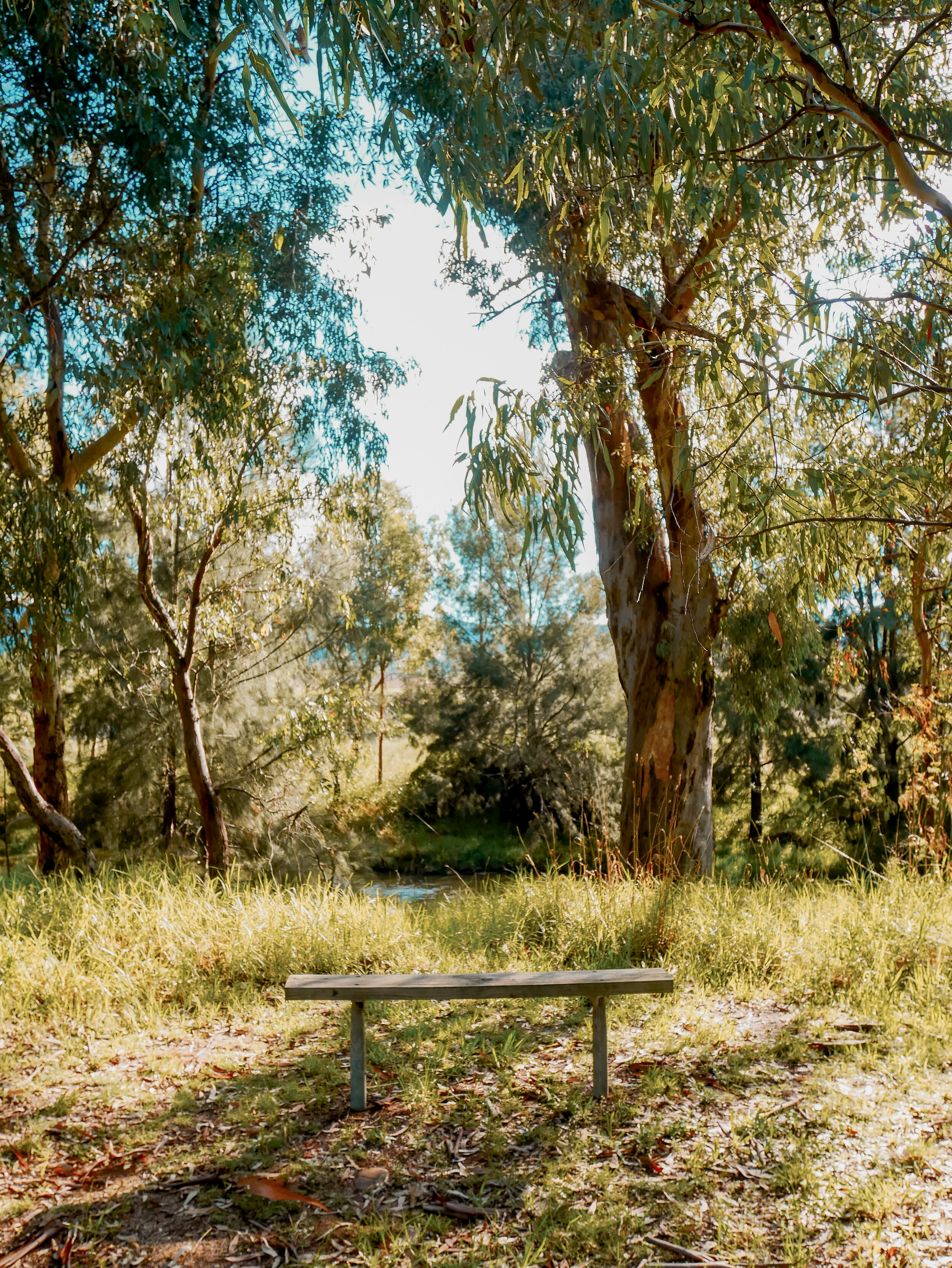 Wooden bench in Putta Bucca - Mudgee - New South Wales (NSW) - Australia