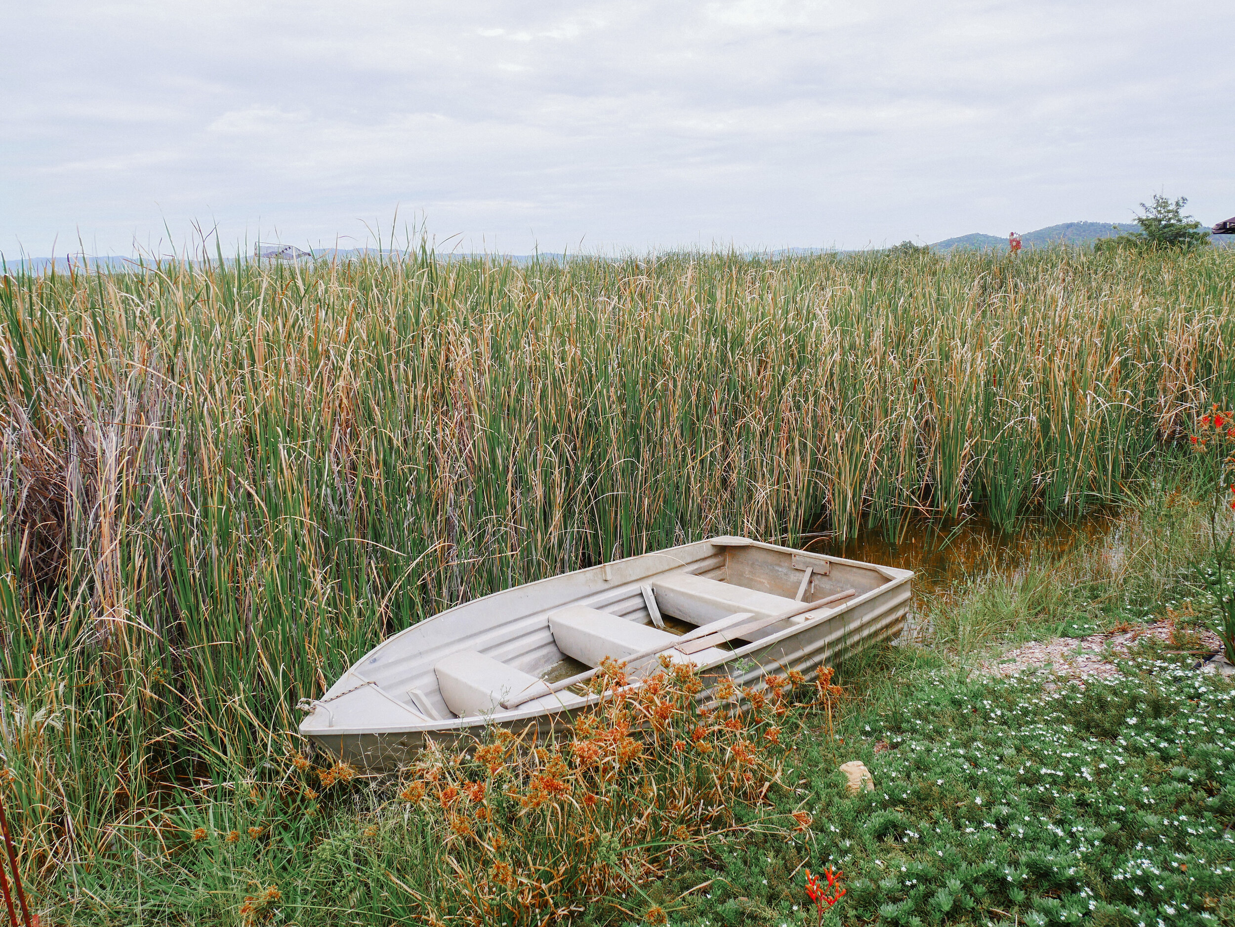 Old boat - Robert Stein Winery - Mudgee - New South Wales (NSW) - Australia