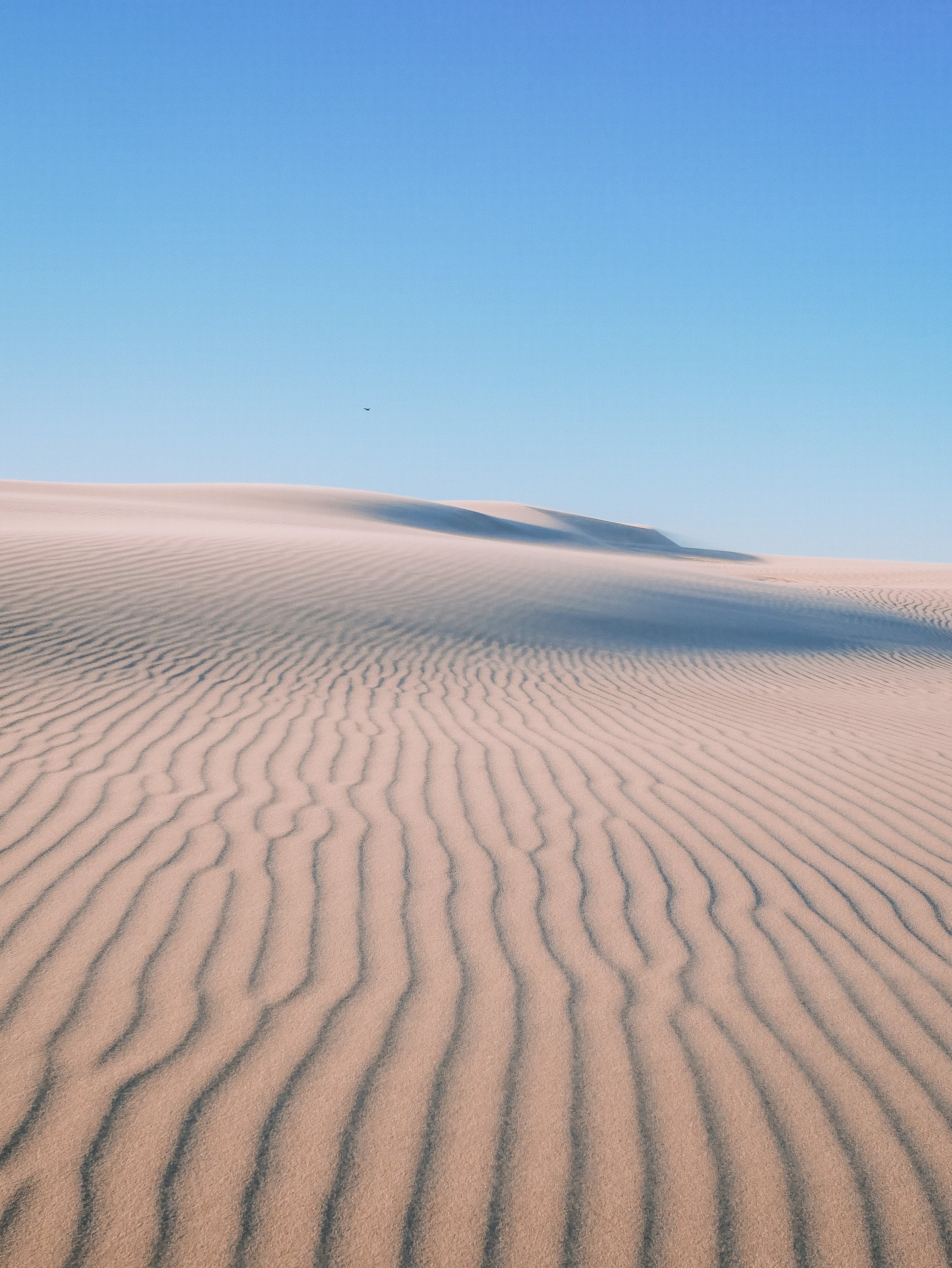 Beautiful sand pattern - Stockton Sand Dunes - Birubi - Port Stephens - New South Wales (NSW) - Australia