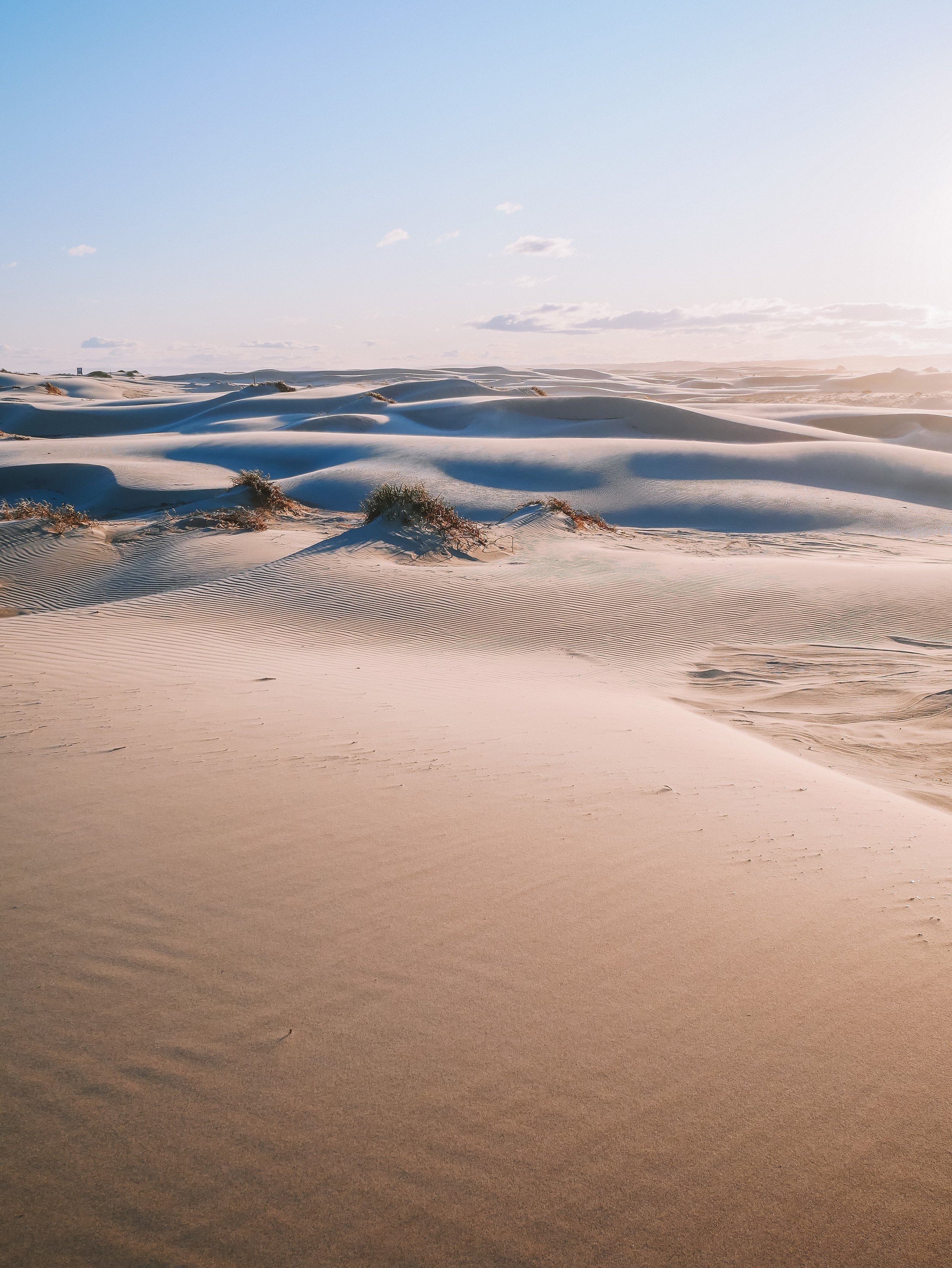 Neverending sand dunes @ Stockton Sand Dunes - Port Stephens - New South Wales (NSW) - Australia