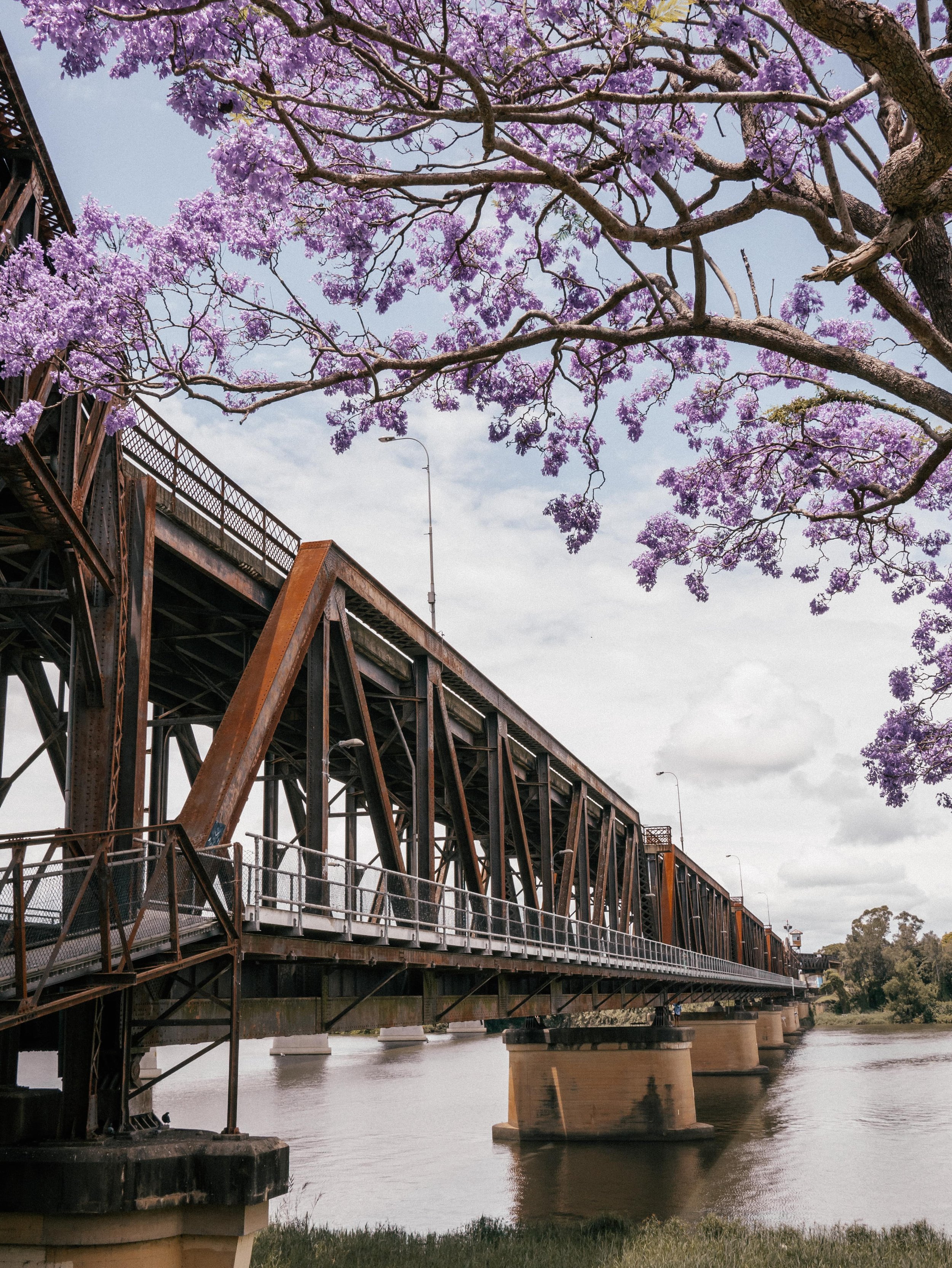 Old Bridge - Grafton - New South Wales (NSW) - Australia