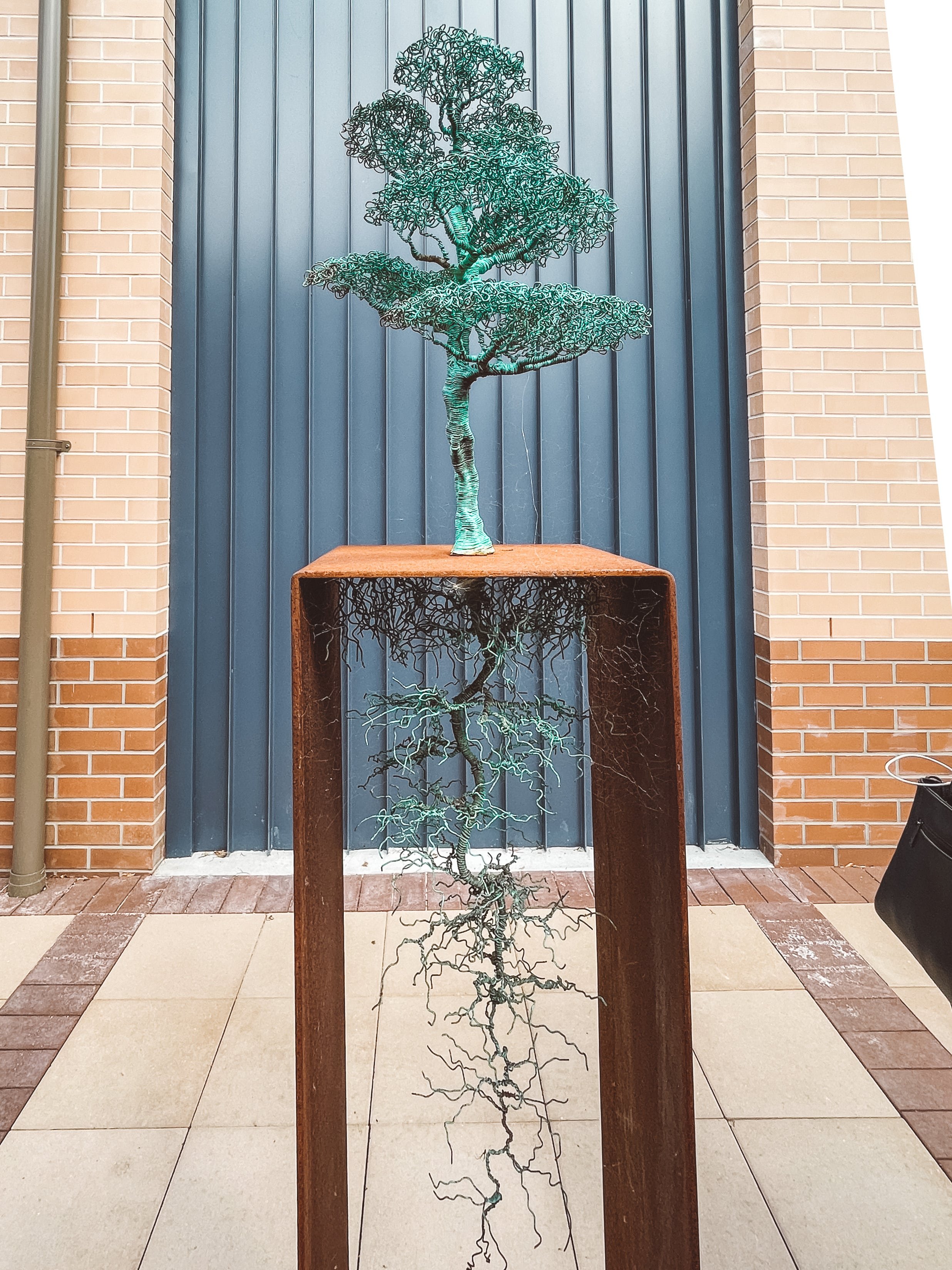 Tree sculpture in the garden - Art Gallery - Grafton - New South Wales (NSW) - Australia