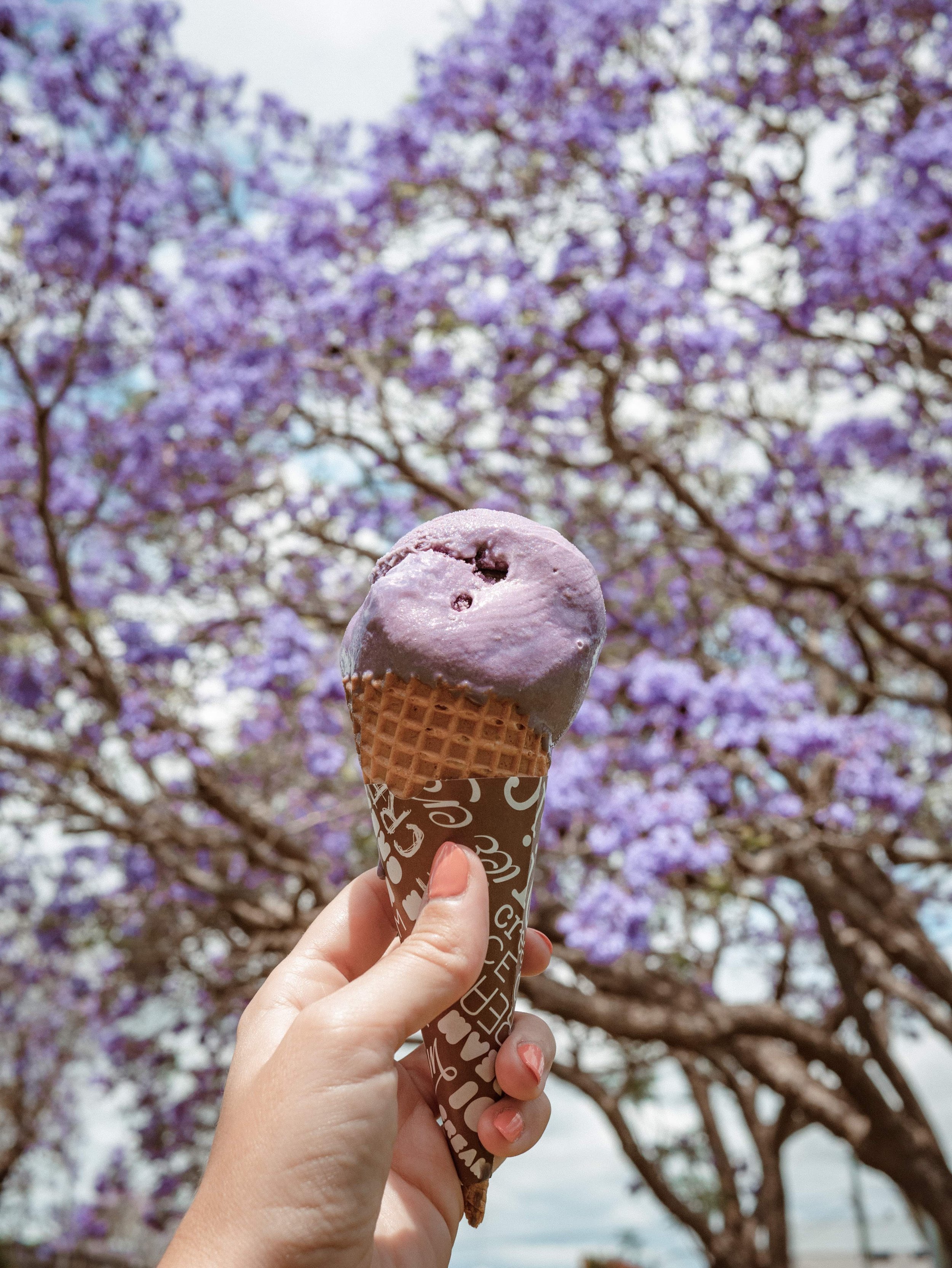 Jacaranda flavoured ice cream purple - I Scream - Grafton - New South Wales (NSW) - Australia