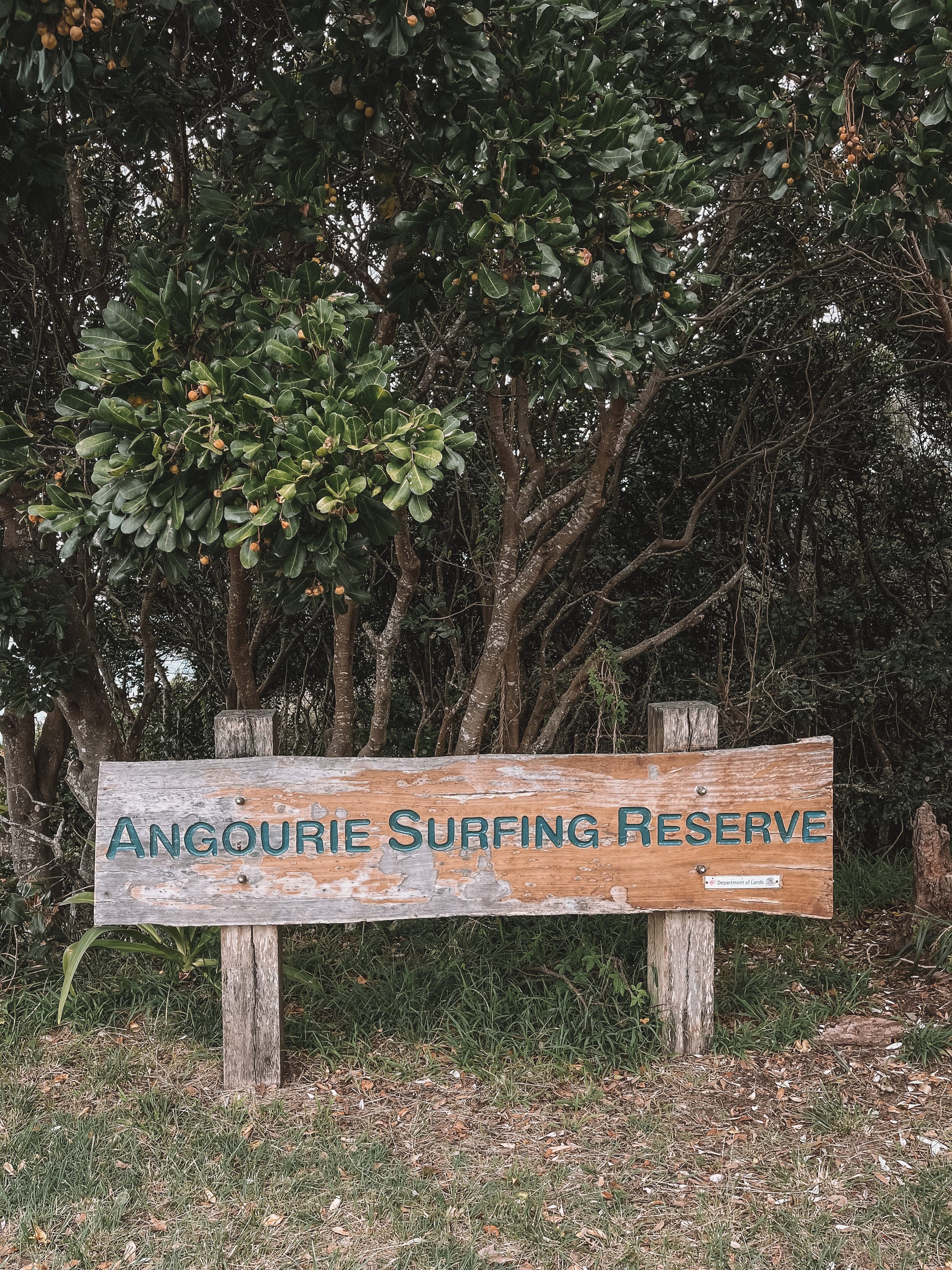 Angourie Surfing Reserve Sign - Yamba - New South Wales (NSW) - Australia