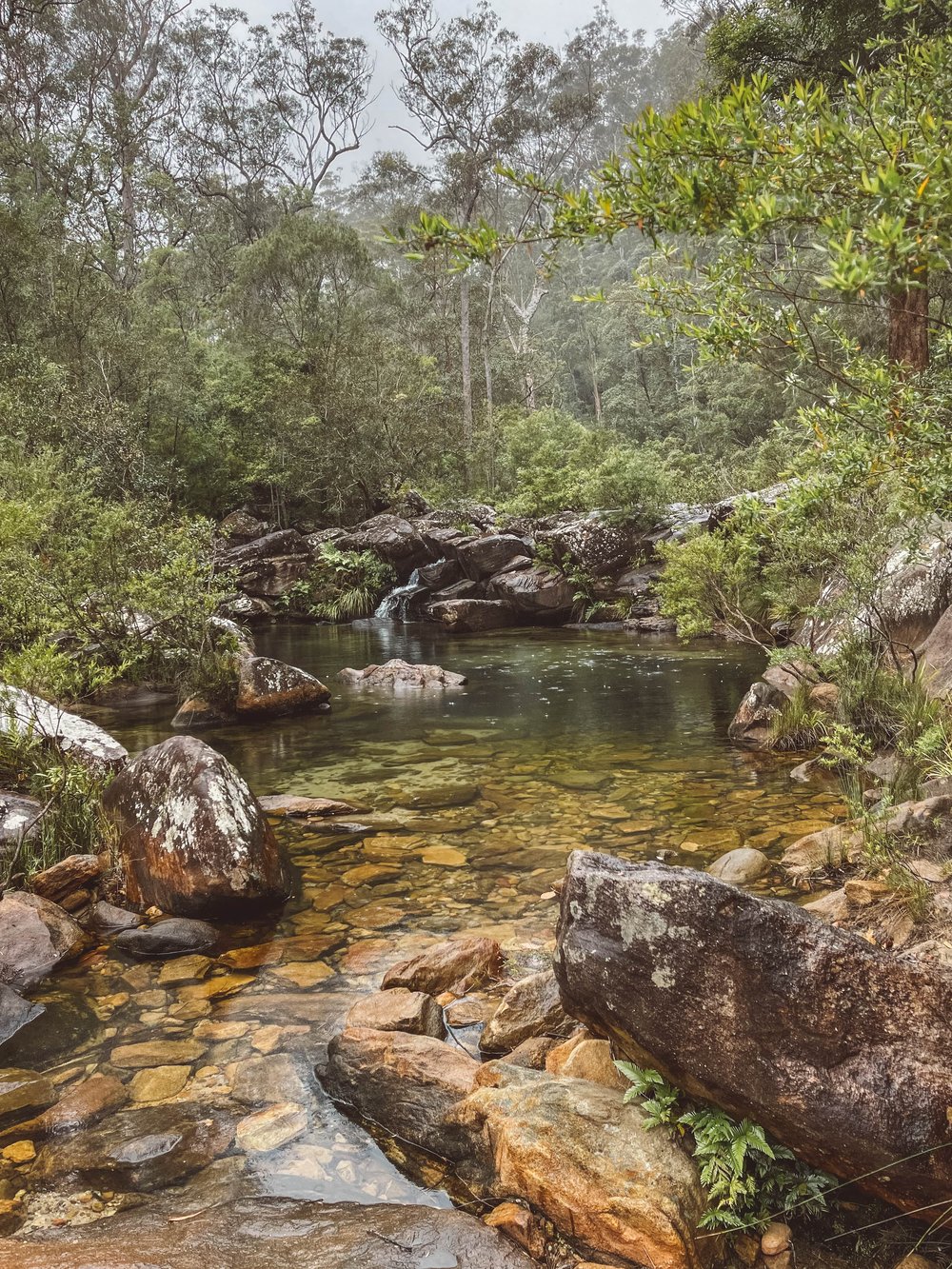 Relaxing pool of water - Sherwood Nature Reserve - New South Wales (NSW) - Australia
