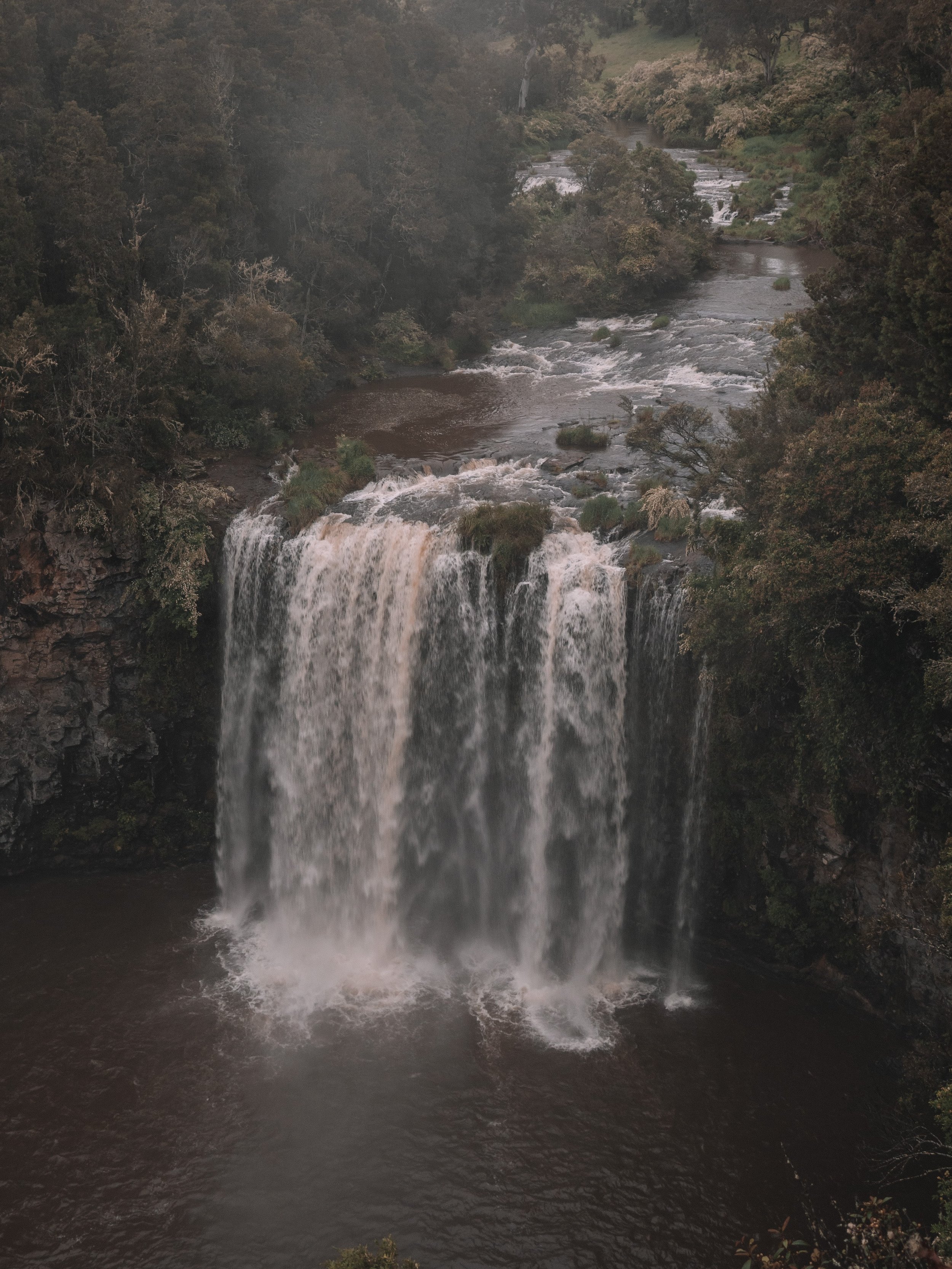 Dangar Falls - Dorrigo - New South Wales (NSW) - Australia