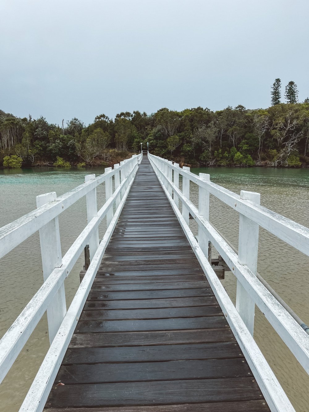 Korogoro Walking Track Bridge - Hat Head National Park - New South Wales (NSW) - Australia