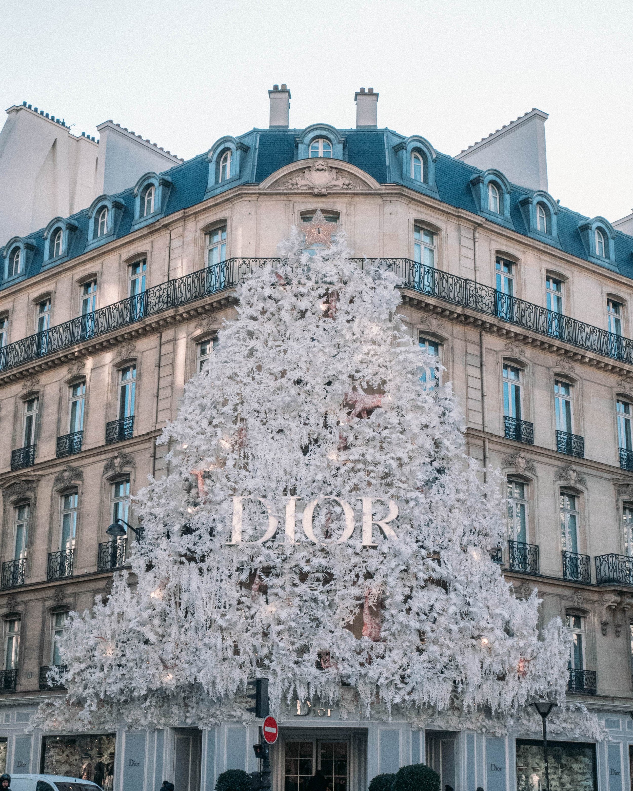 Dior Montaigne White Christmas Tree - Paris - France