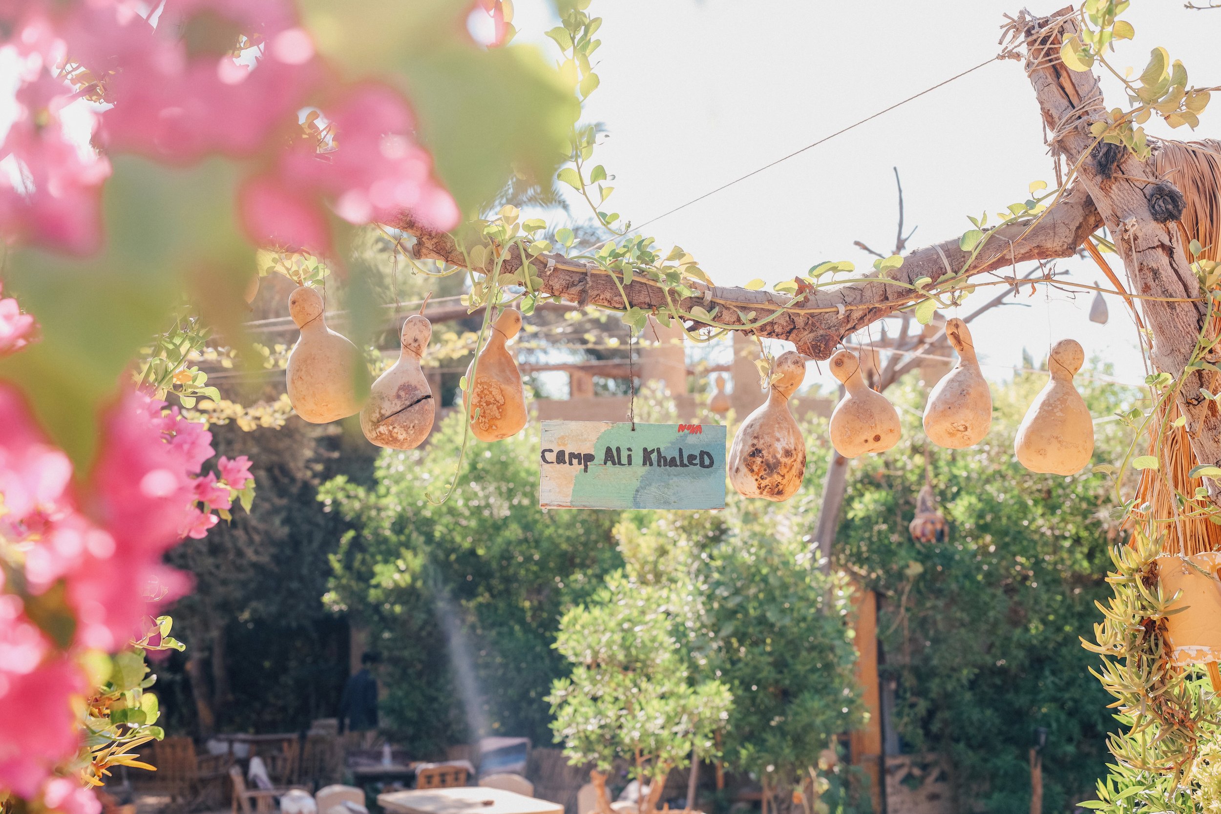 Entrance sign - Ali Khaled Mountain Camp - Siwa Oasis - Egypt