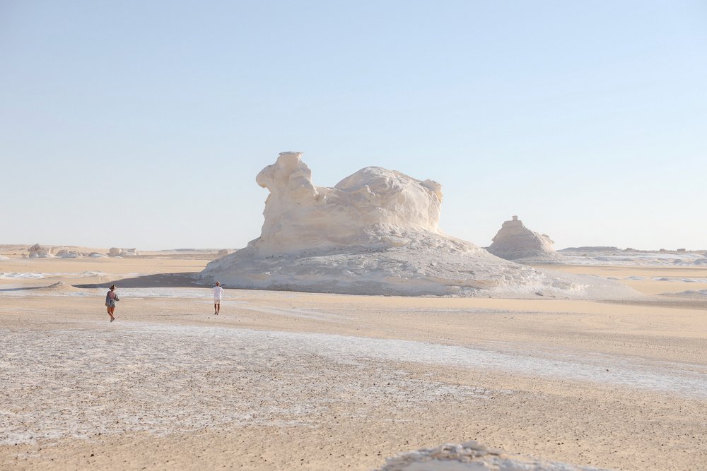 Camel rock formation - White Desert - Western Desert of Egypt