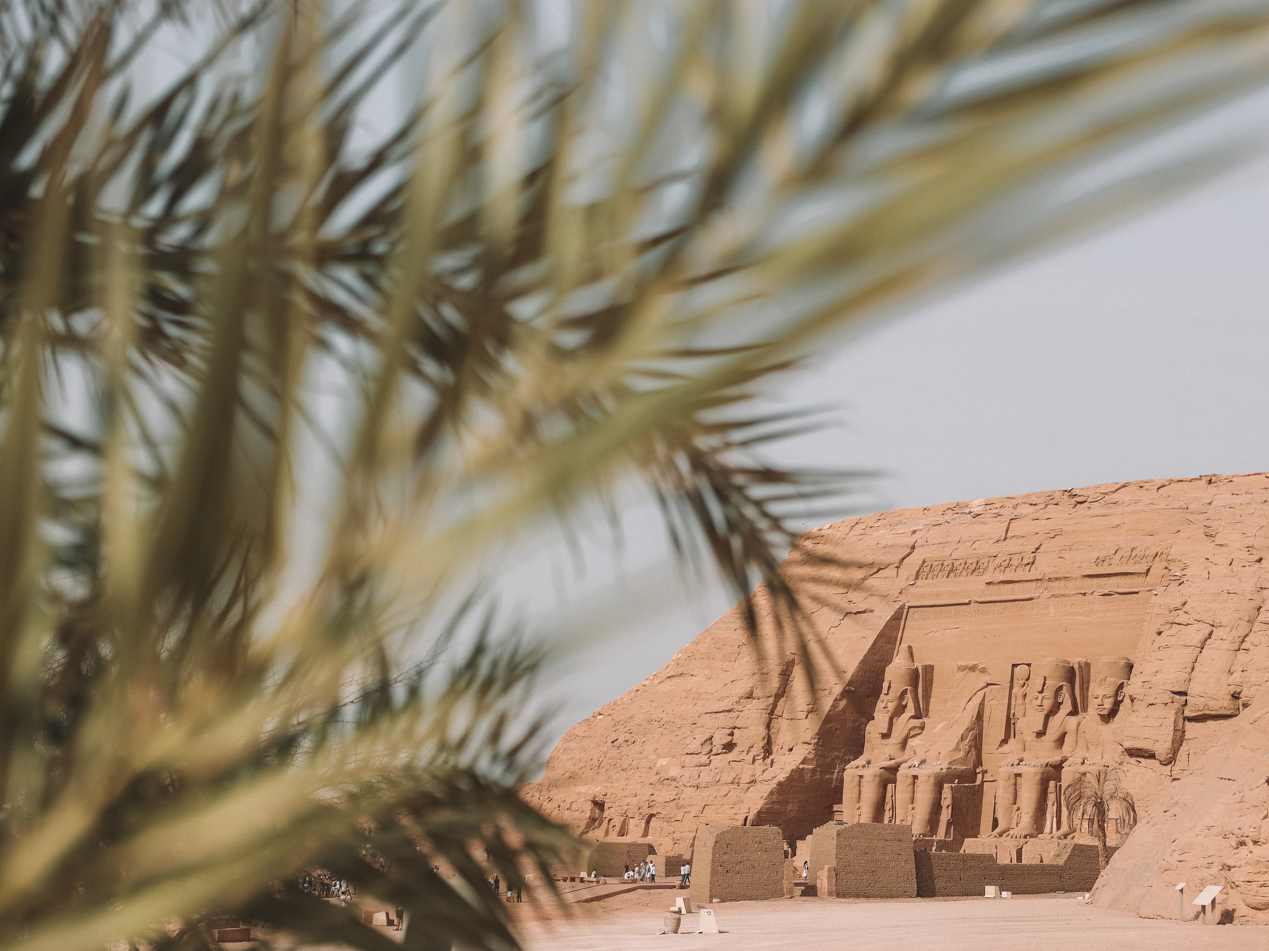 Main temple in the background with palm tree - Abu Simbel - Egypt
