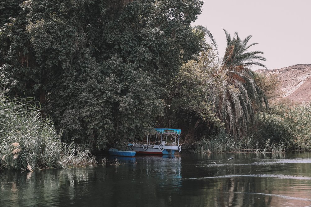 The flora and fauna of the Nile River valley - Aswan Nature Reserve - Egypt