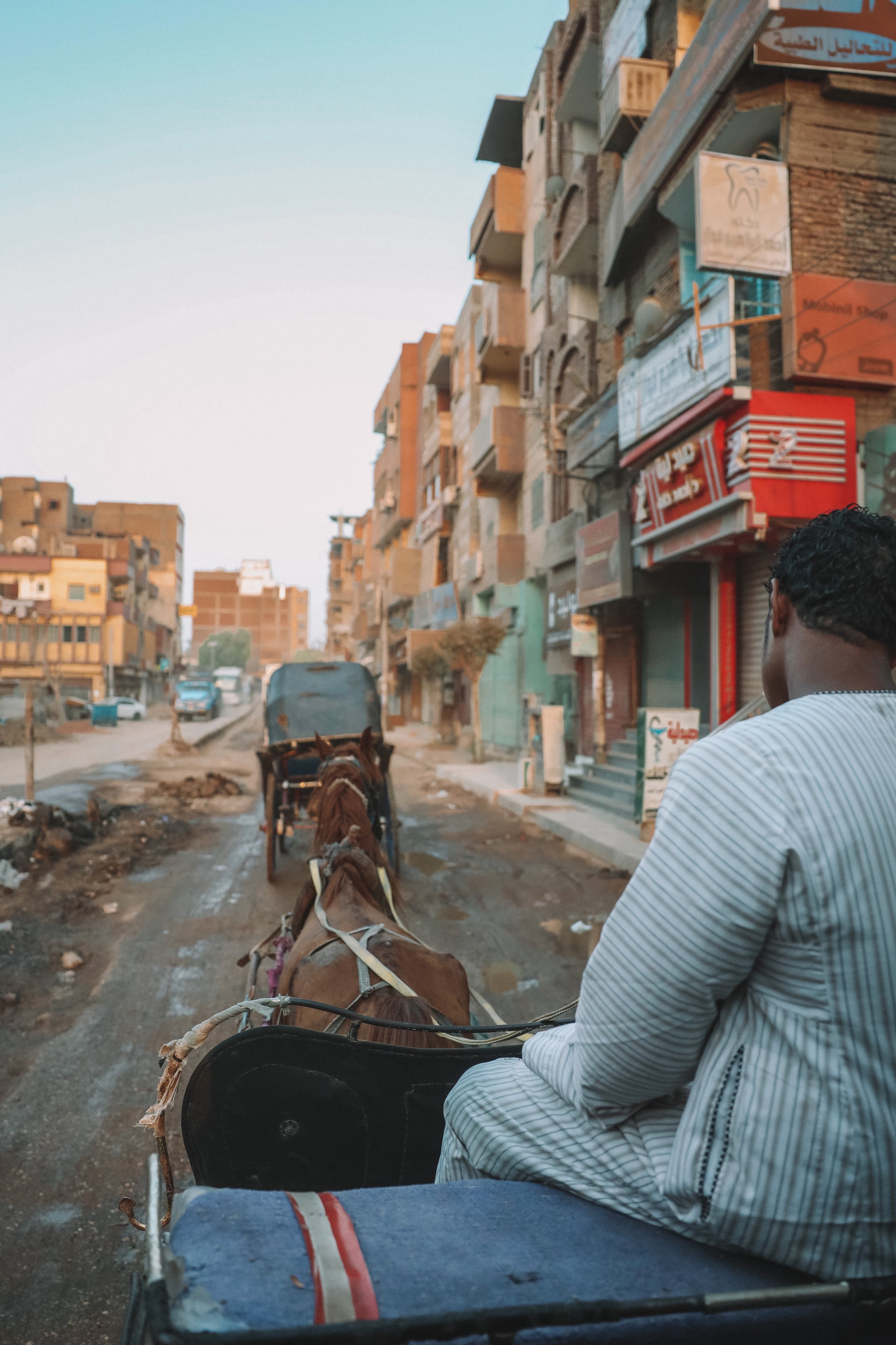 Ride to Edfu by horse cabriolet - Egypt