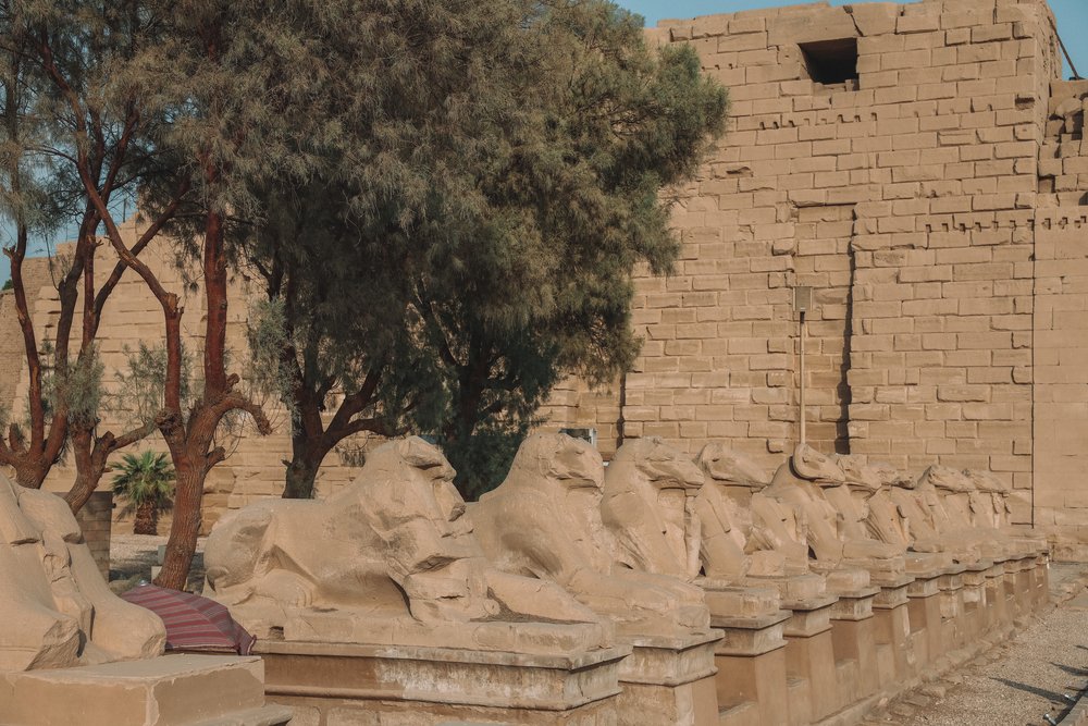 Sphinx Alley - Karnak Temple - Egypt