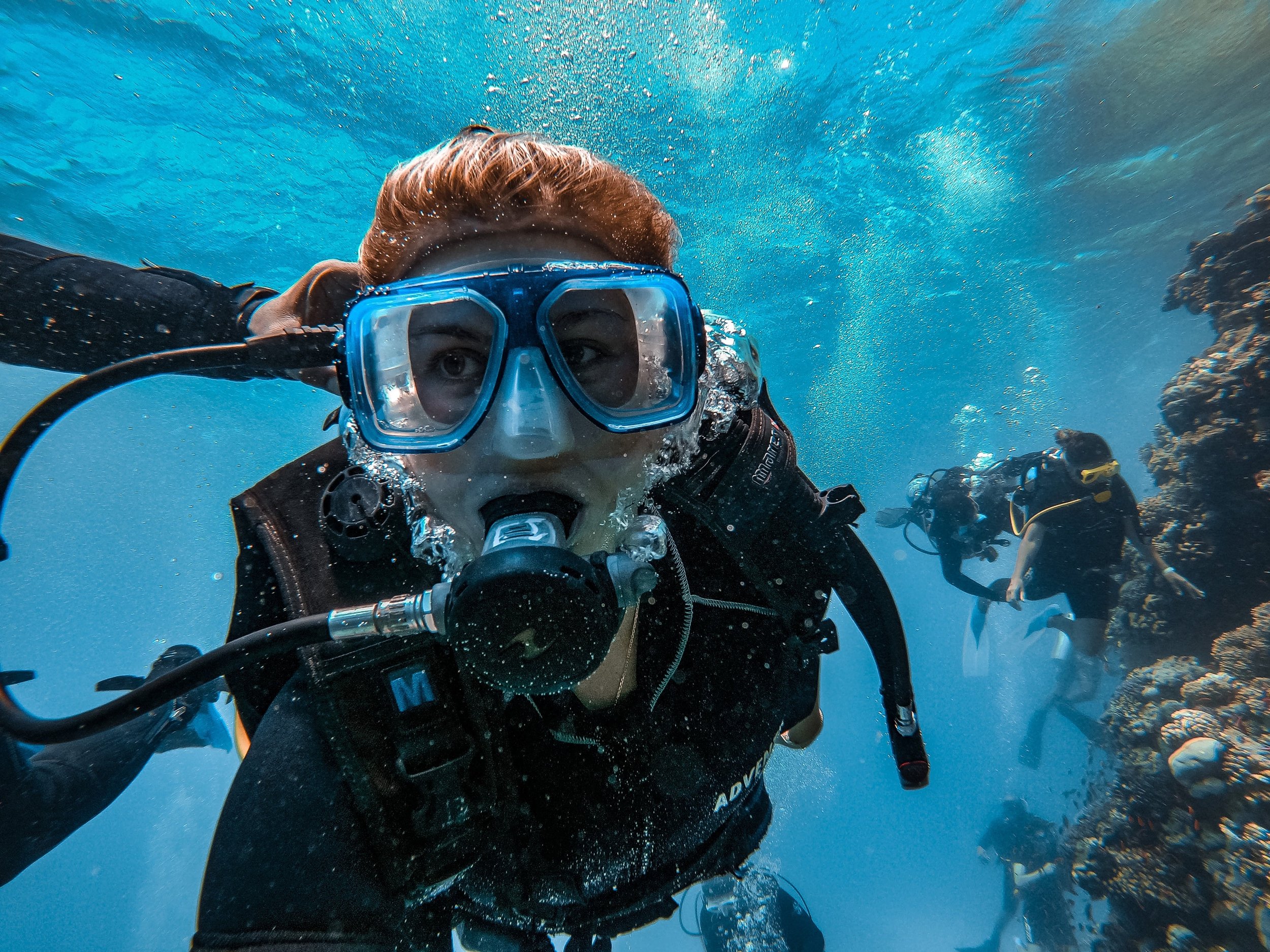 Diving experience in the Red Sea - Ras Mohammed National Park - White Island - Sharm El-Sheikh - Sinai Peninsula - Egypt