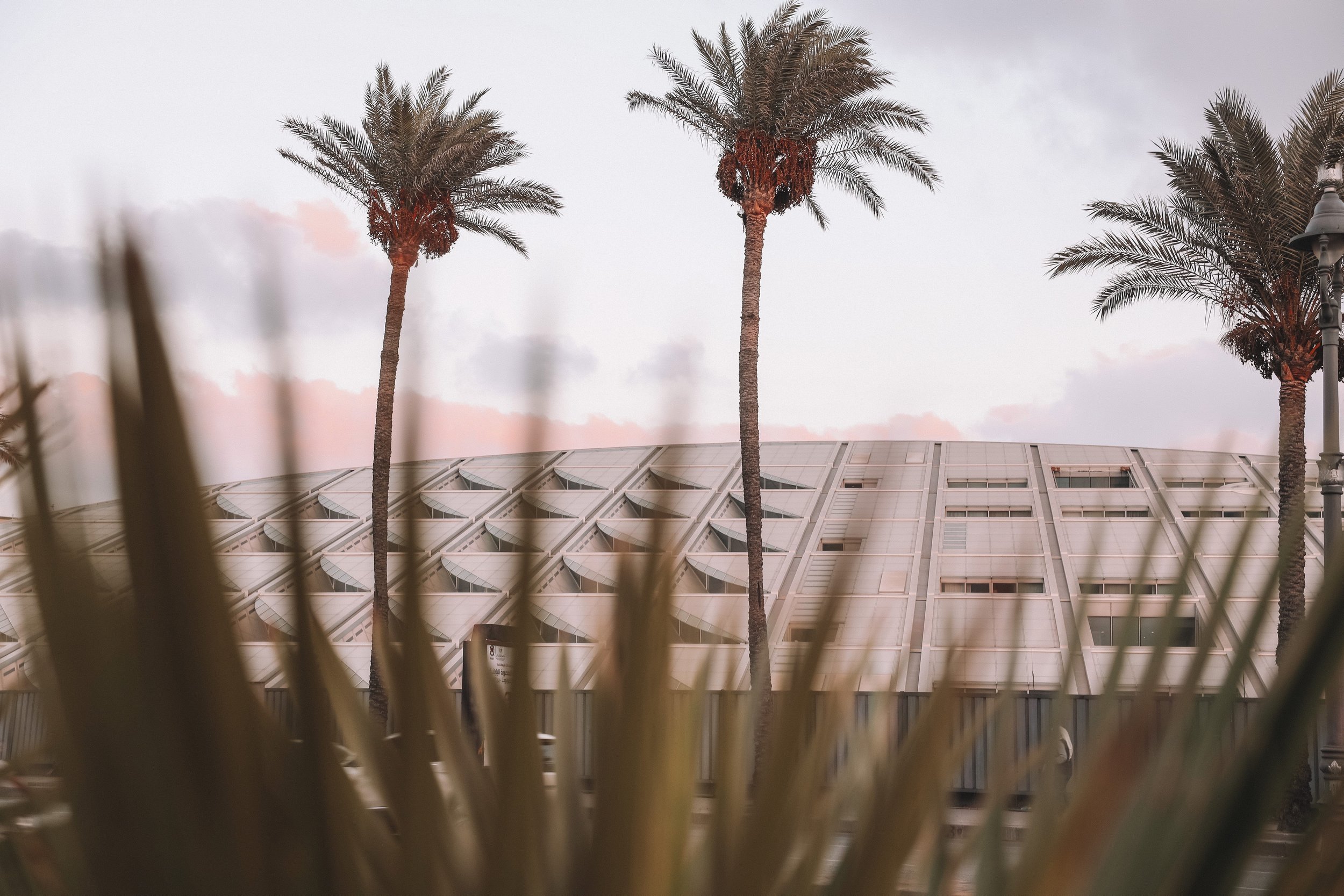 Biblioteca Alexandrina at sunset - Alexandria - Egypt