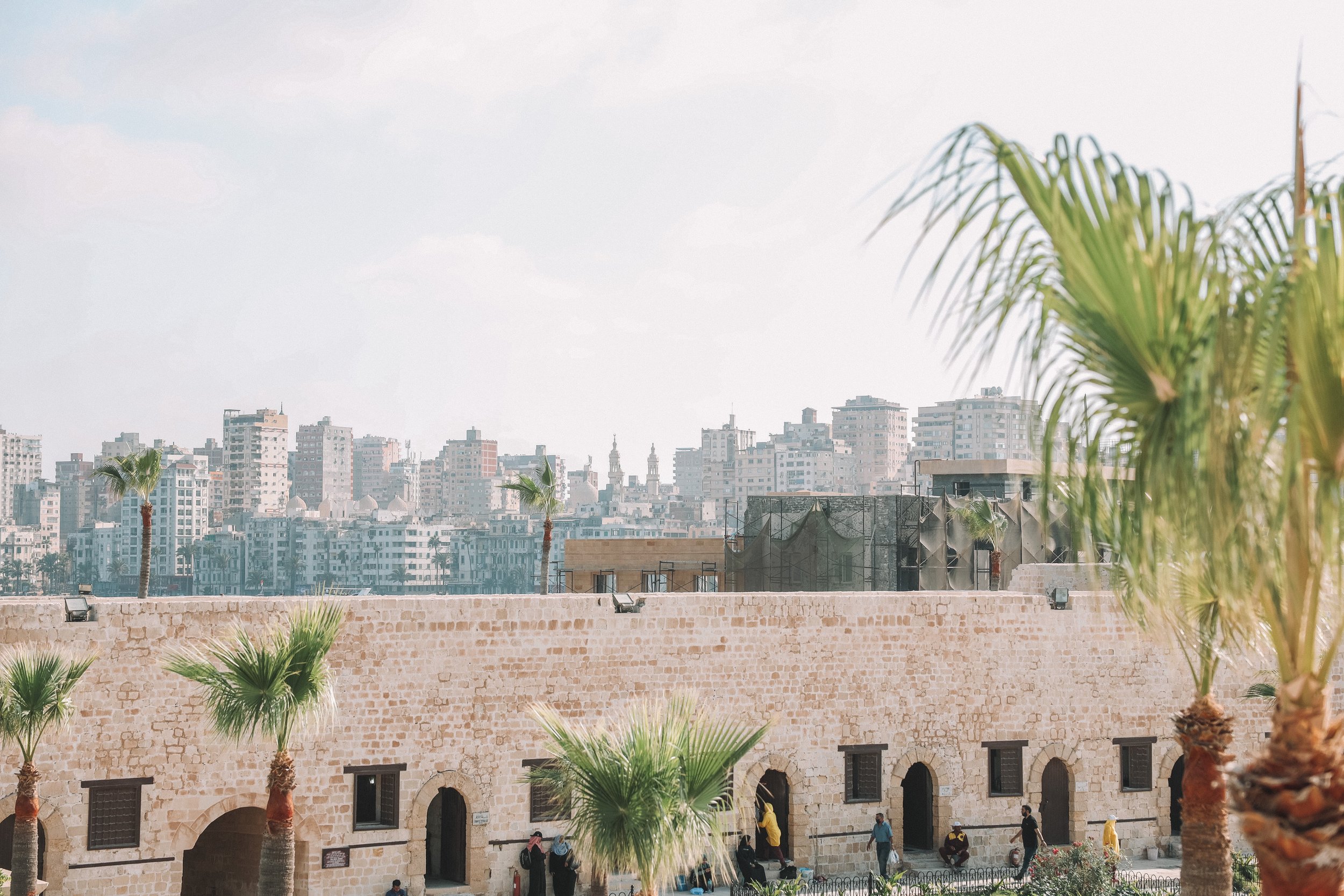 City and palm trees - Citadel of Qaitbay - Alexandria - Egypt
