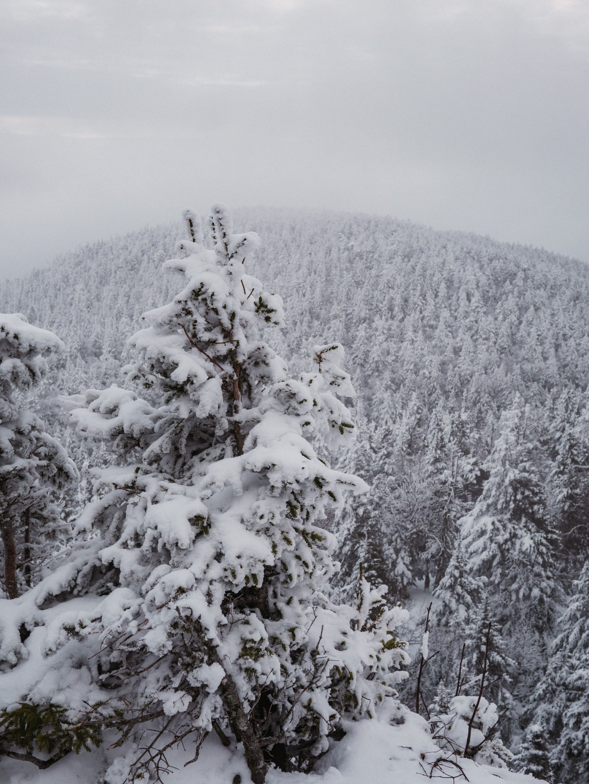 Foggy views from the summit - Mont Sutton - Eastern Townships - Quebec - Canada