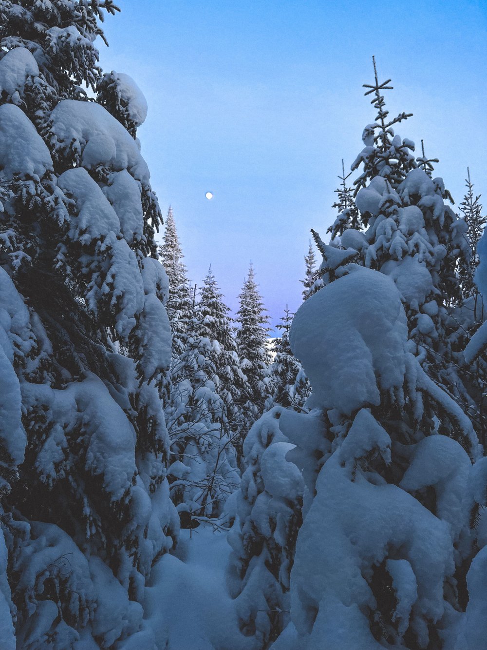 Moonrise - Mount Megantic - Eastern Townships - Quebec - Canada