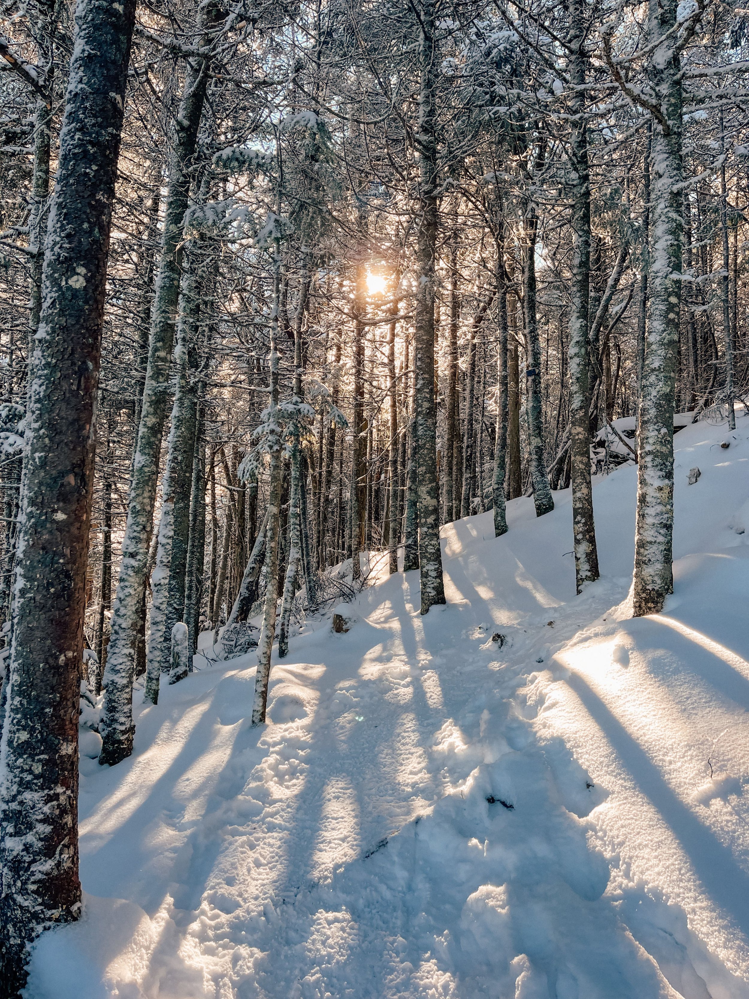 Golden hour - Mount Gosford - Eastern Townships - Quebec - Canada