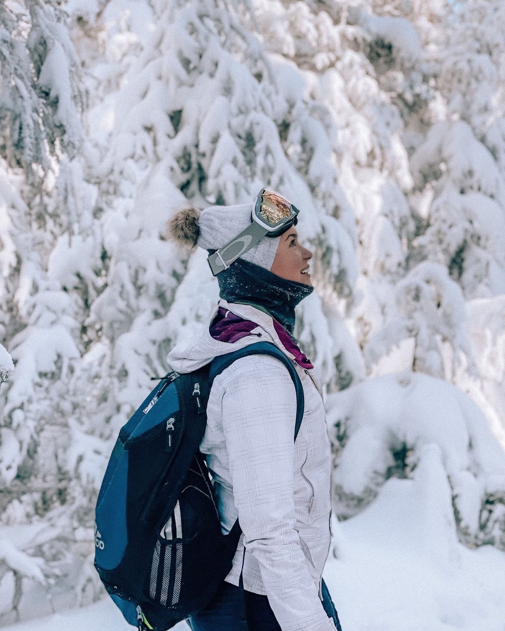 Staring at those trees - Mount Gosford - Eastern Townships - Quebec - Canada