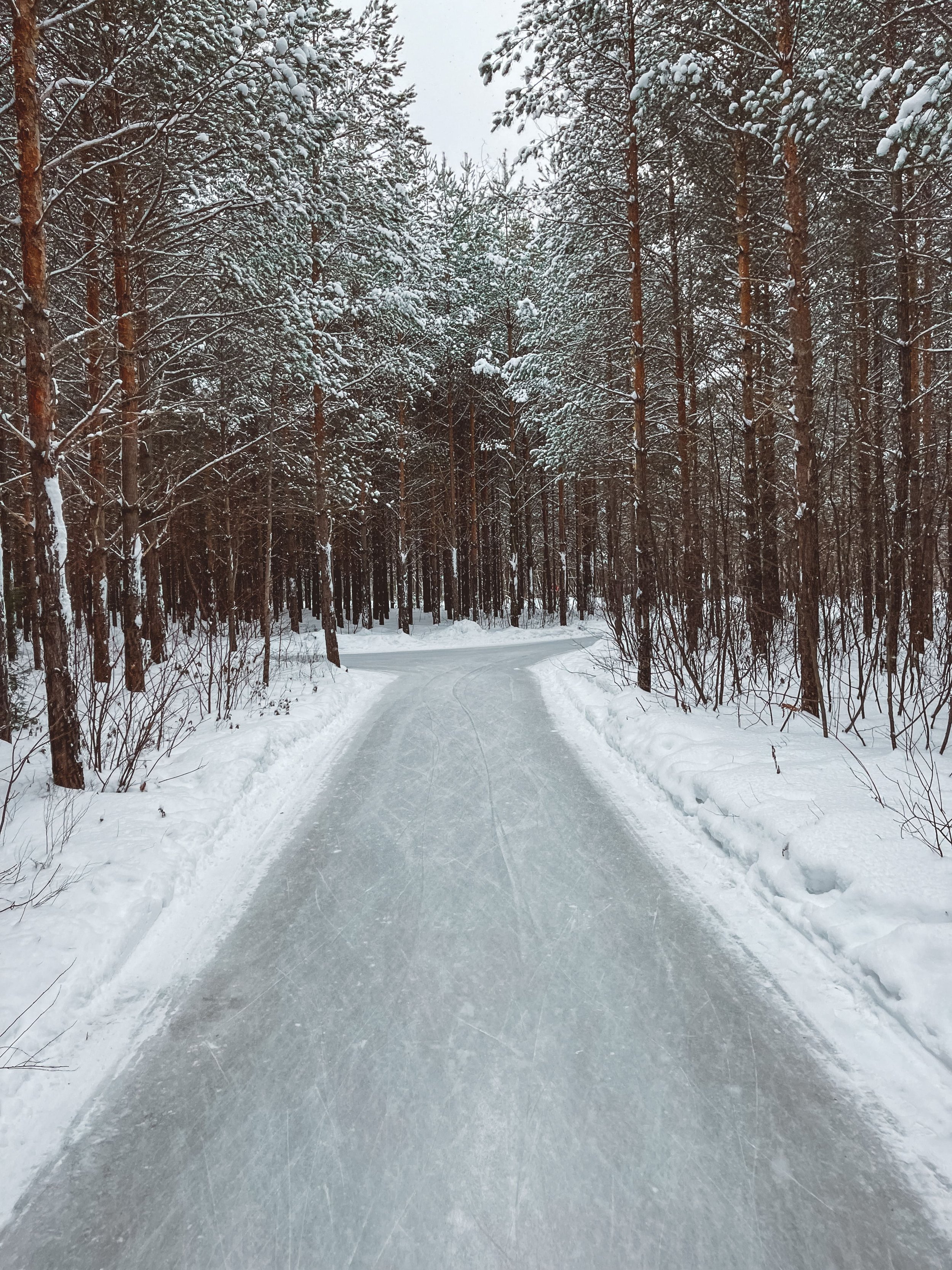 The beautiful ice tracks - Domaine Enchanteur - Forêt perdue - Shawinigan - Quebec - Canada