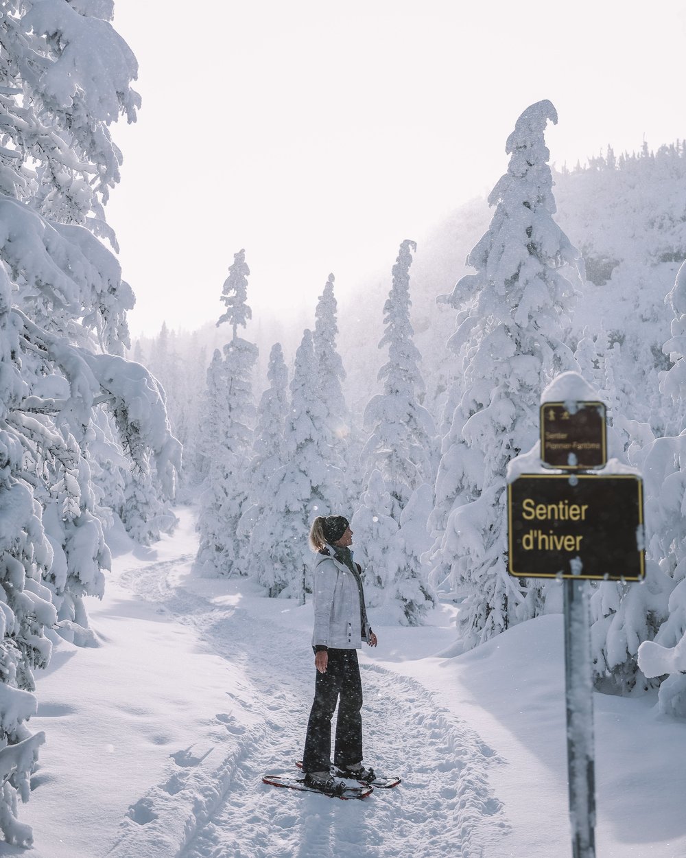 Winter wonderland - Monts-Valin - Valley of the Ghosts - Saguenay-Lac-St-Jean - Quebec - Canada