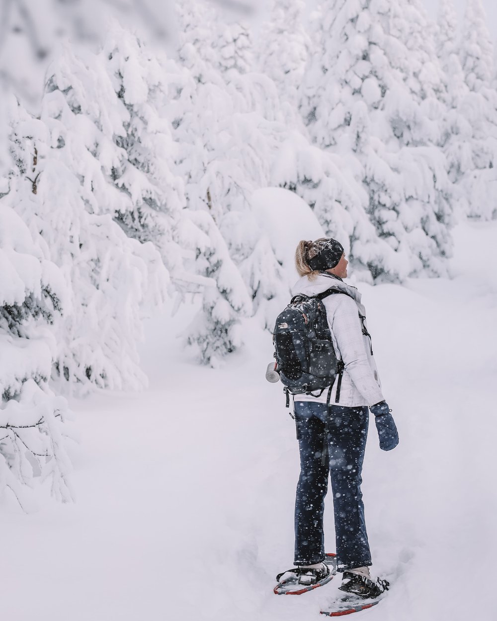 Snowshoeing in paradise - Monts-Valin - Valley of the Ghosts - Saguenay-Lac-St-Jean - Quebec - Canada