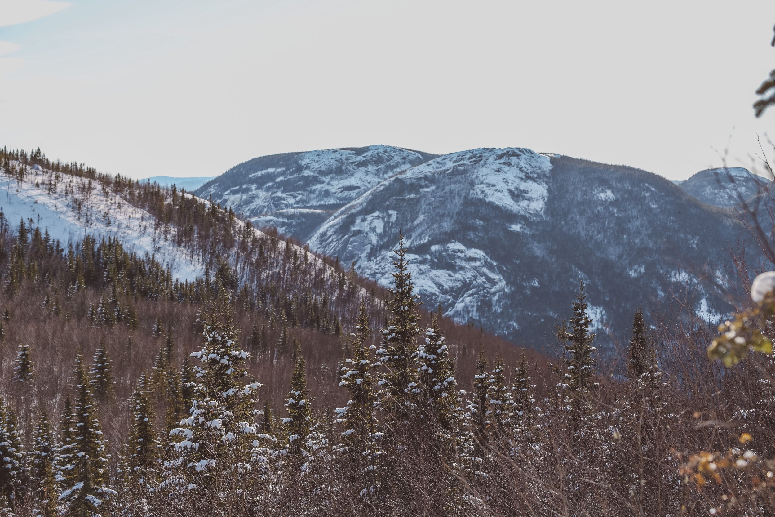 Mountains in the background - Mount du Dôme - Charlevoix - Quebec - Canada