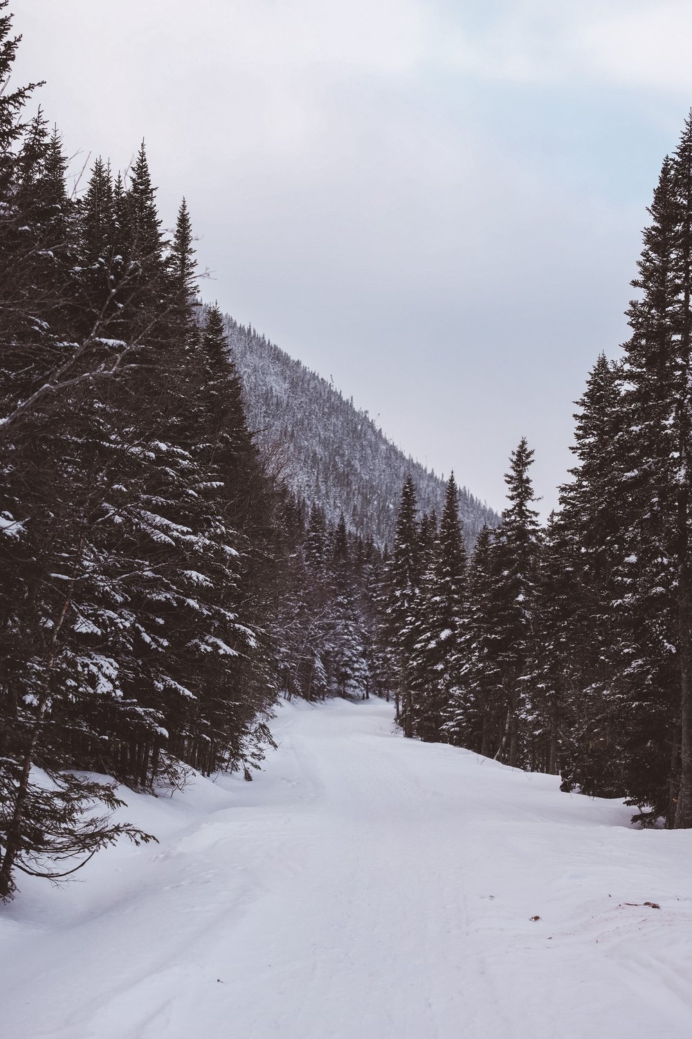 Beginning of the trail - Mount du Lac à l'Empêche - Charlevoix - Quebec - Canada