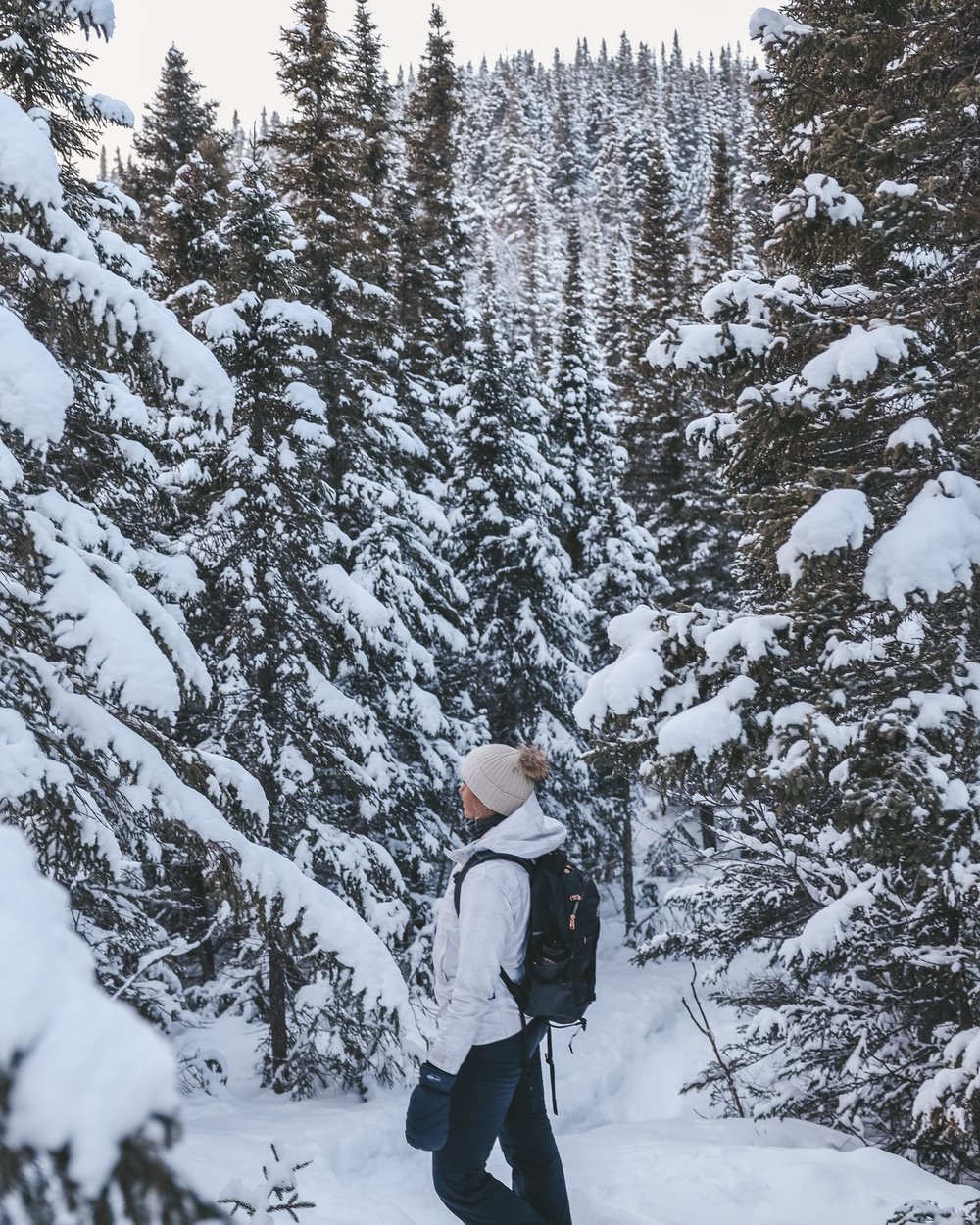 Enjoying walking in the forest in winter - Mount du Dôme - Charlevoix - Quebec - Canada