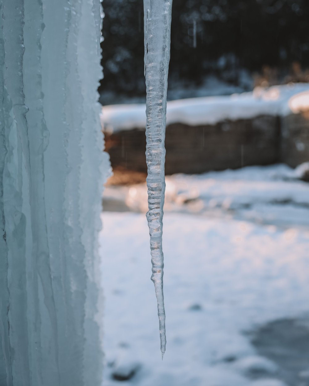 Closeup on a frozen stalactite - Gorges de la Rivière Sainte-Anne - Portneuf - Quebec - Canada