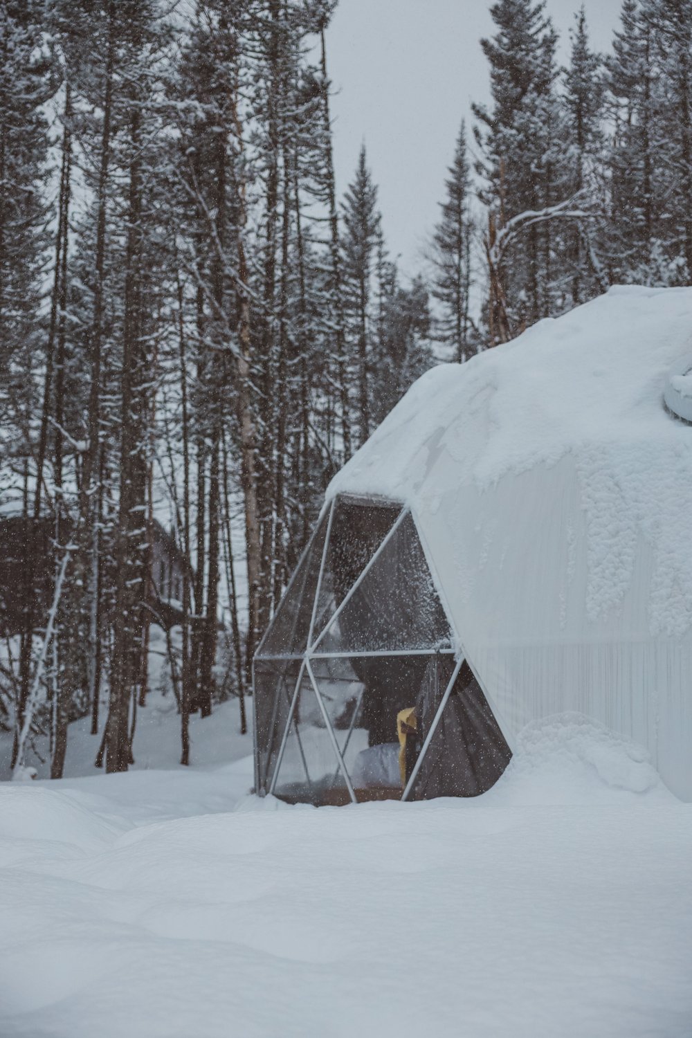The igloo in winter - Diamants de l'Éternel - Saint-David-de-Falardeau - Saguenay-Lac-St-Jean - Quebec - Canada