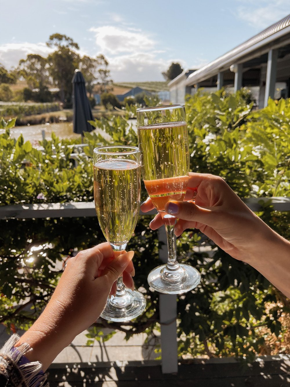 Cheers to a sunny day - Sparkling Wine - Puddleduck Winery - Richmond - Tasmania - Australia
