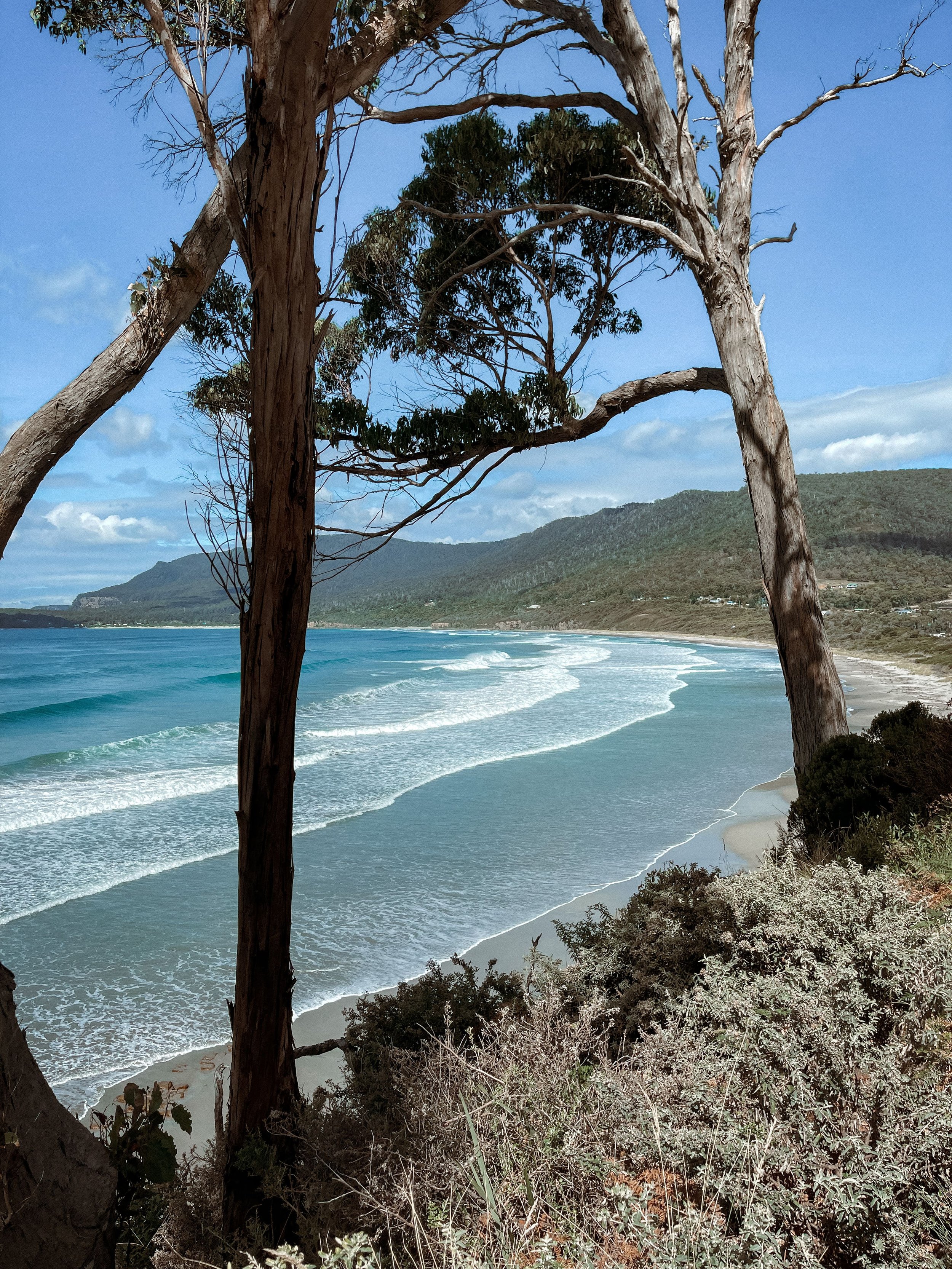 The Beach - Port Arthur - Tasmania - Australia