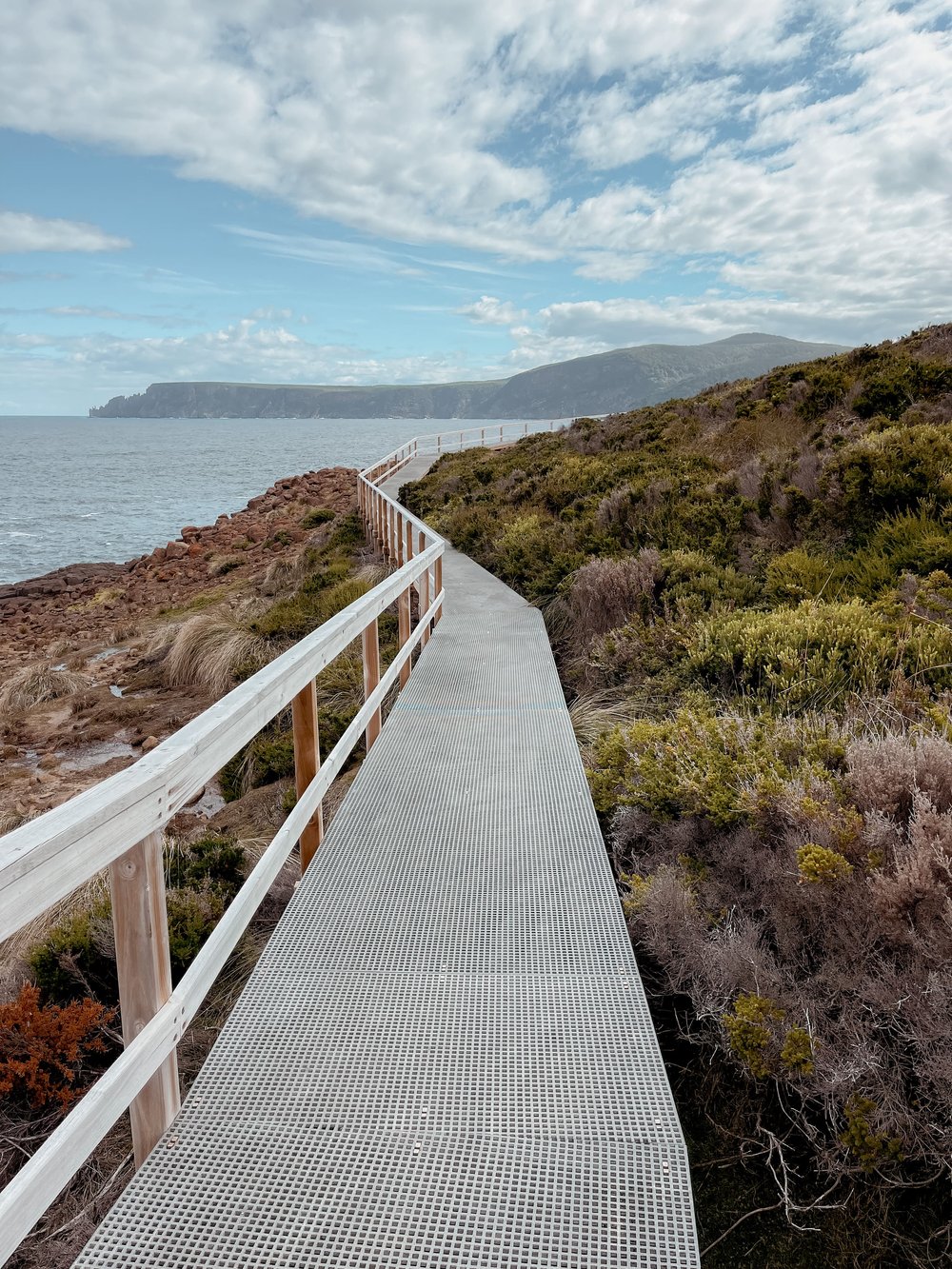 The track to Mount Brown - Port Arthur - Tasmania - Australia