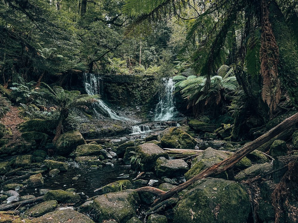 Horseshoe Falls - Tasmania - Australia