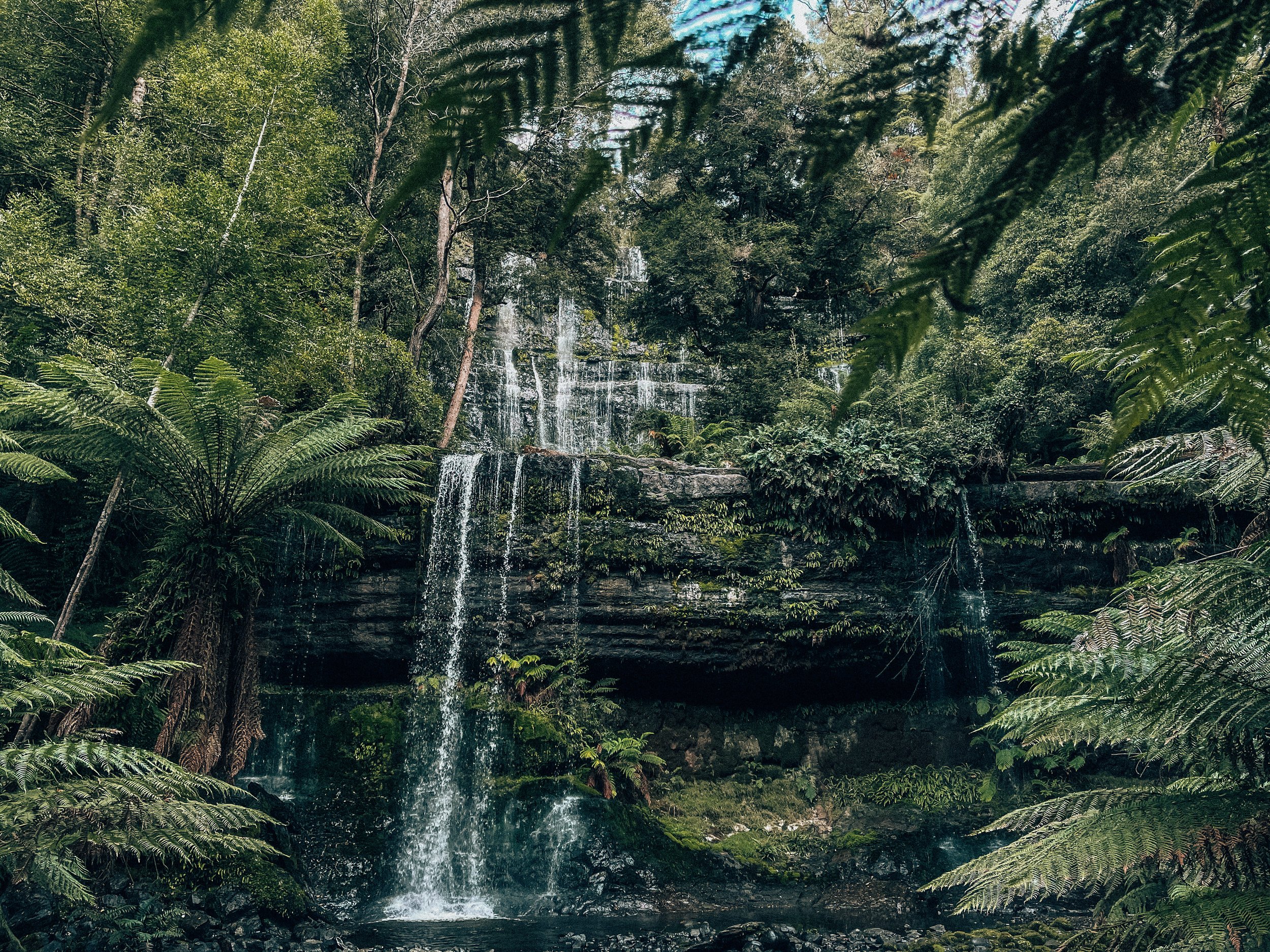 Russell Falls - Tasmania - Australia