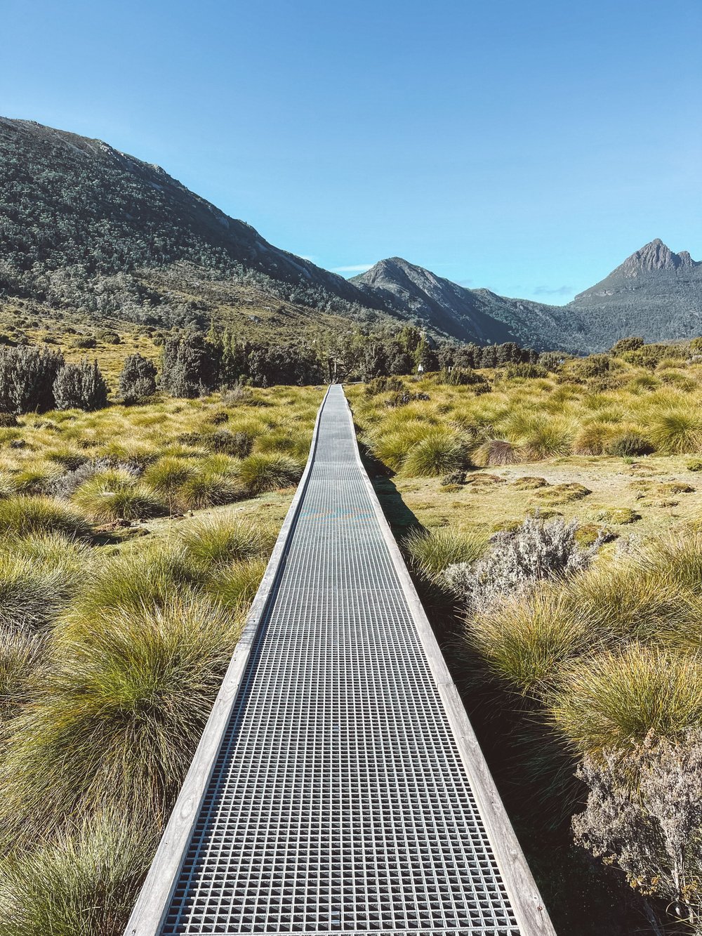 The walking track on a sunny day - Cradle Mountain - Tasmania - Australia